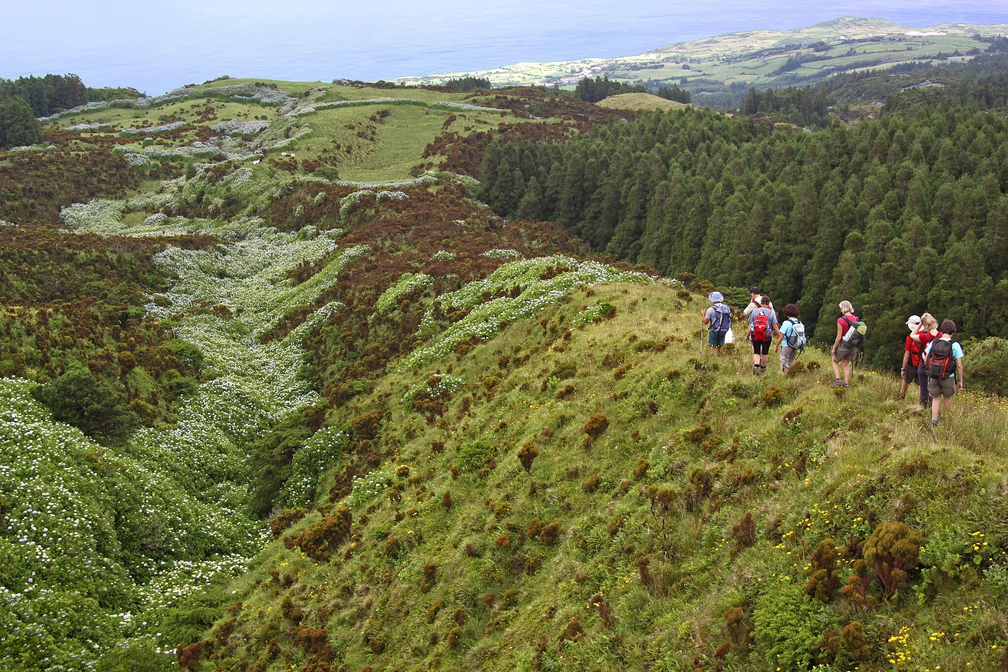 Photo showing: Ilha do Faial, Açores.

Descente de la caldeira vers Praia do Norte.