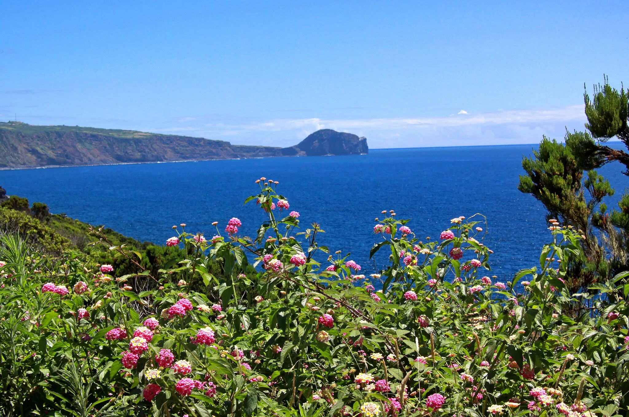 Photo showing: Ilha do Faial, Açores.

Vue sur le Morro de Castelo Branco.