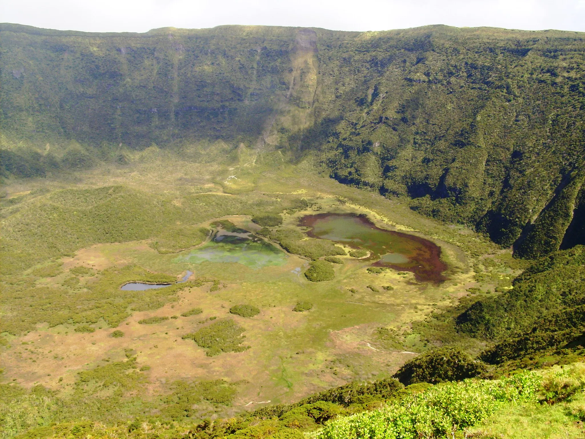 Photo showing: Caldeira, maciço da Caldeira, ilha do Faial, Açores.
