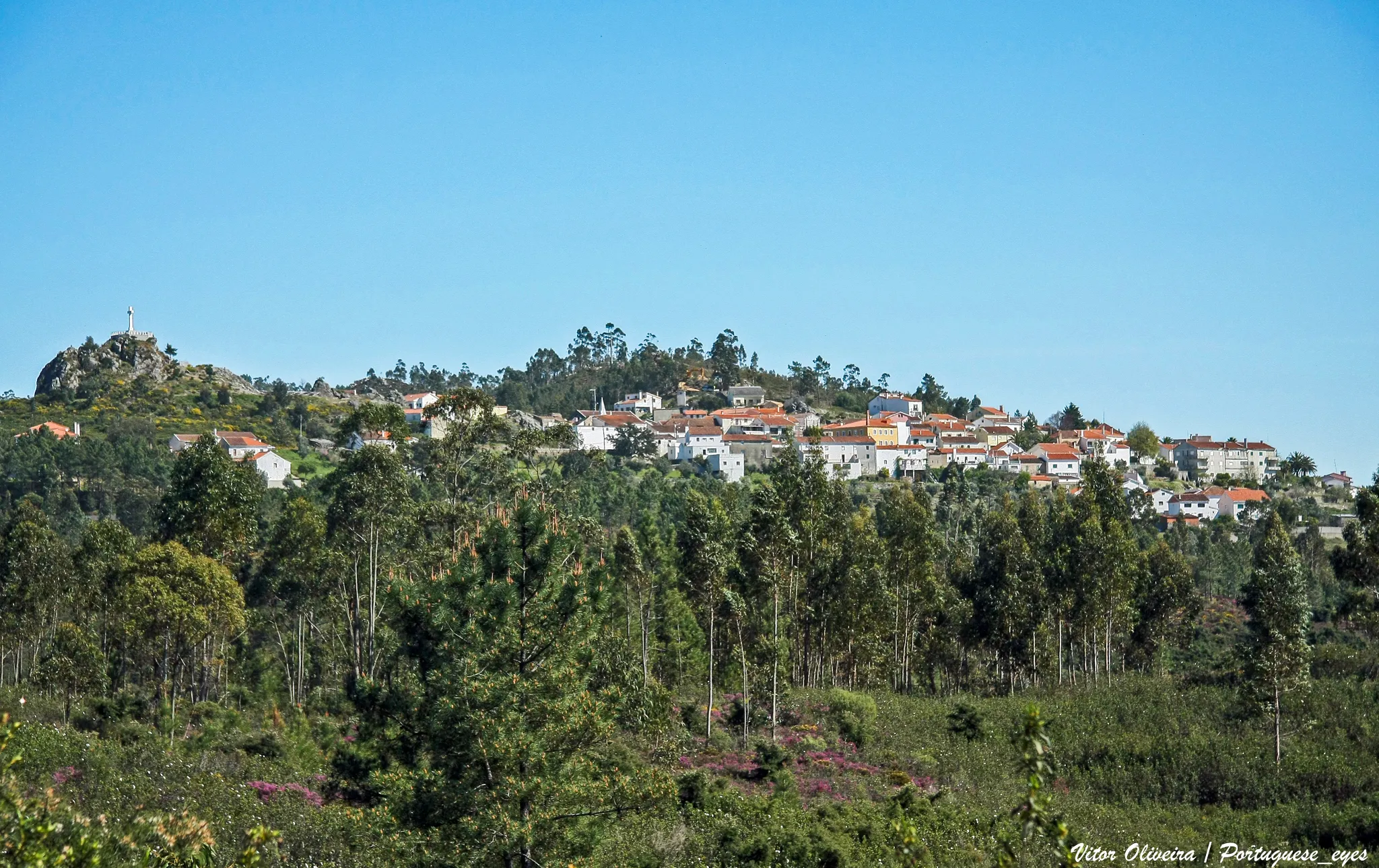 Photo showing: Amêndoa - Portugal 🇵🇹