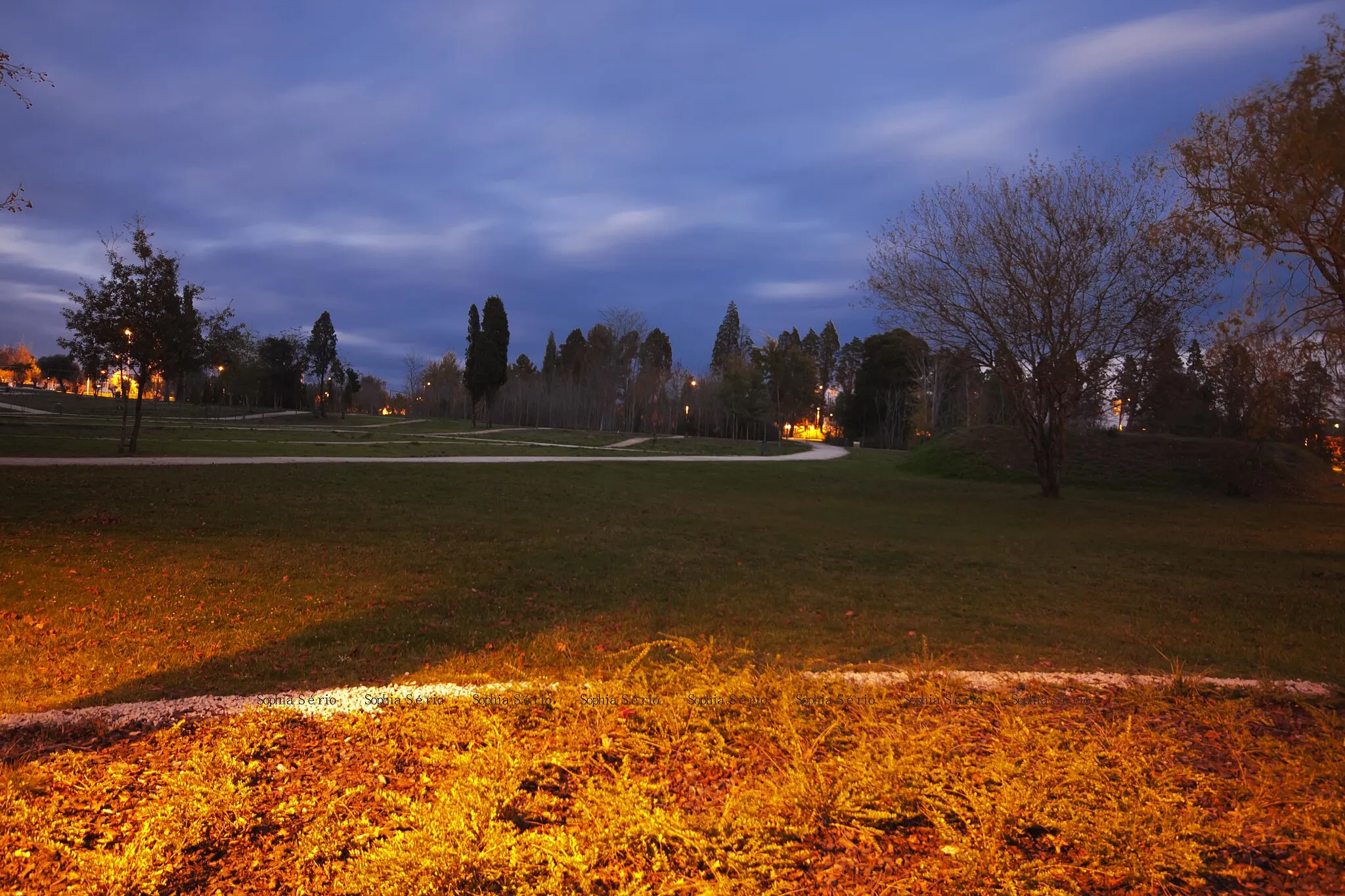 Photo showing: Parque da Cidade da Mealhada