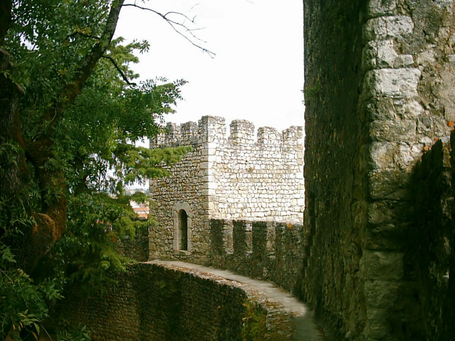Photo showing: Castelo de Torres Novas