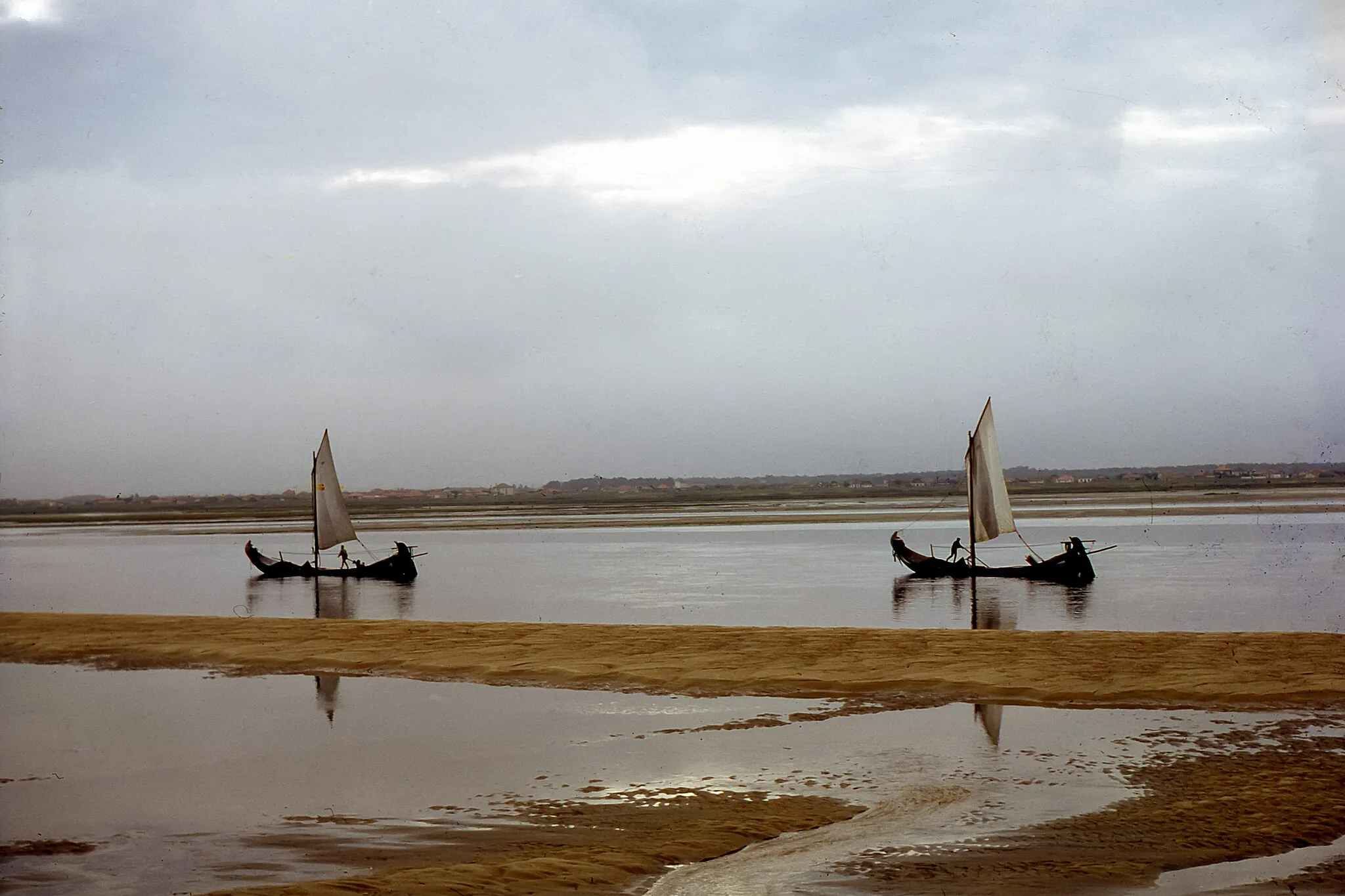 Photo showing: Moliceiros flat-bottomed barges used on the Laguna.