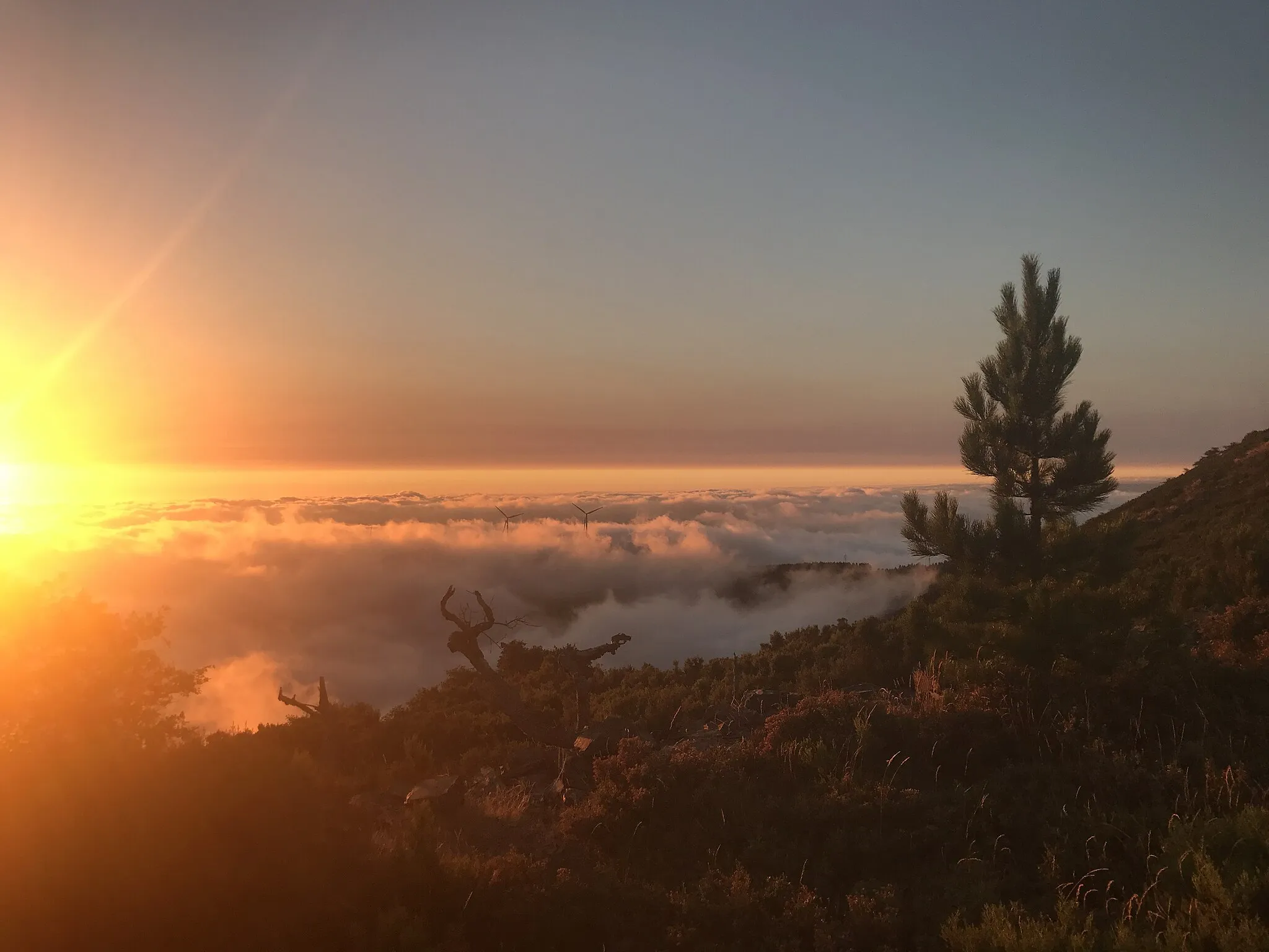 Photo showing: This is a photography of a protected area of Portugal indexed in the World Database on Protected Areas with the ID: