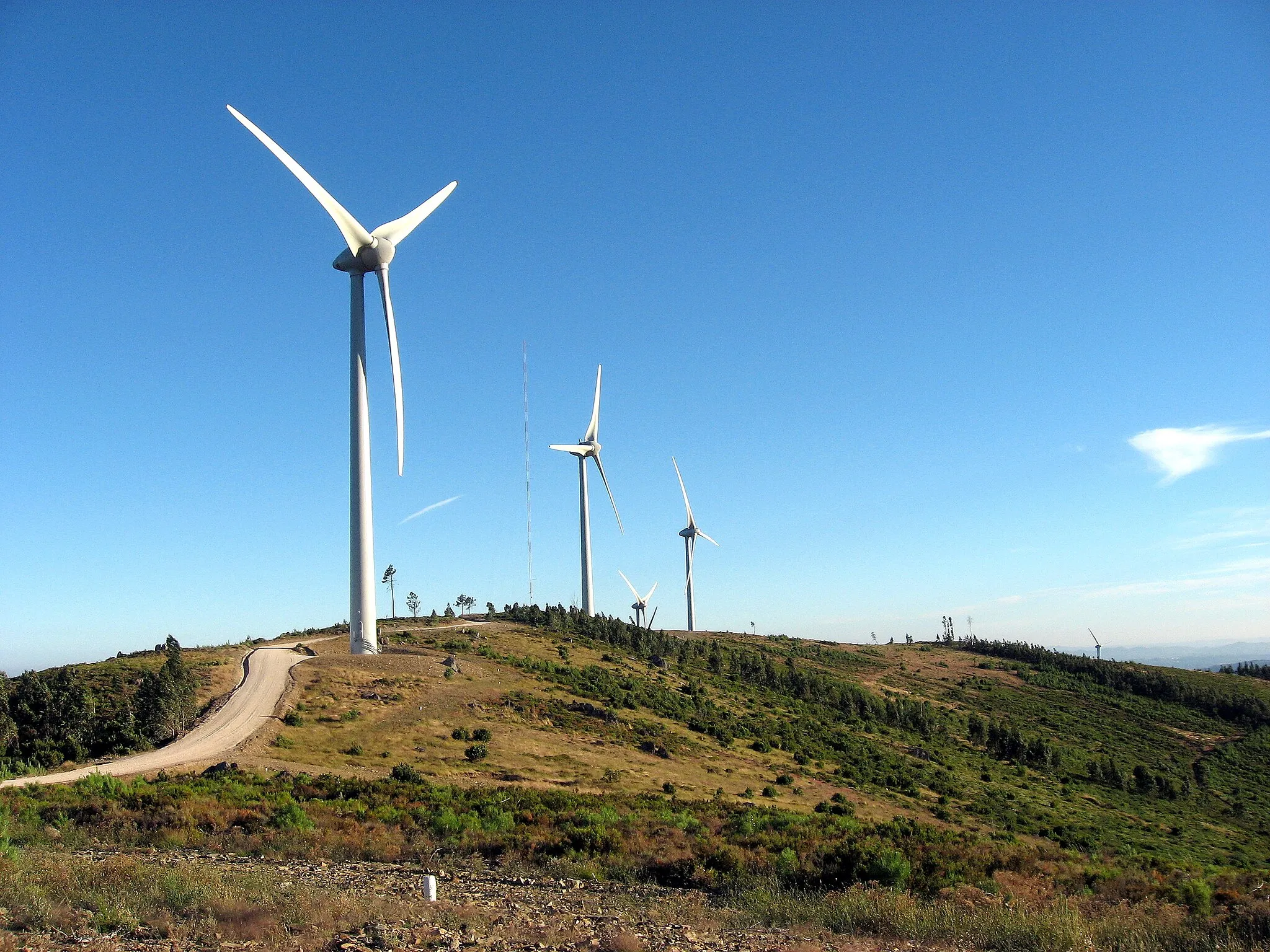 Photo showing: O maior parque eólico no concelho de Proença-a-Nova, na serra do Cabeço da Rainha.