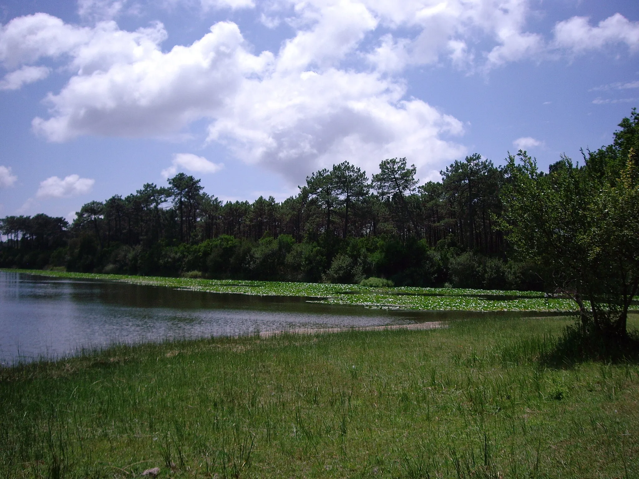 Photo showing: Lagoa da Vela