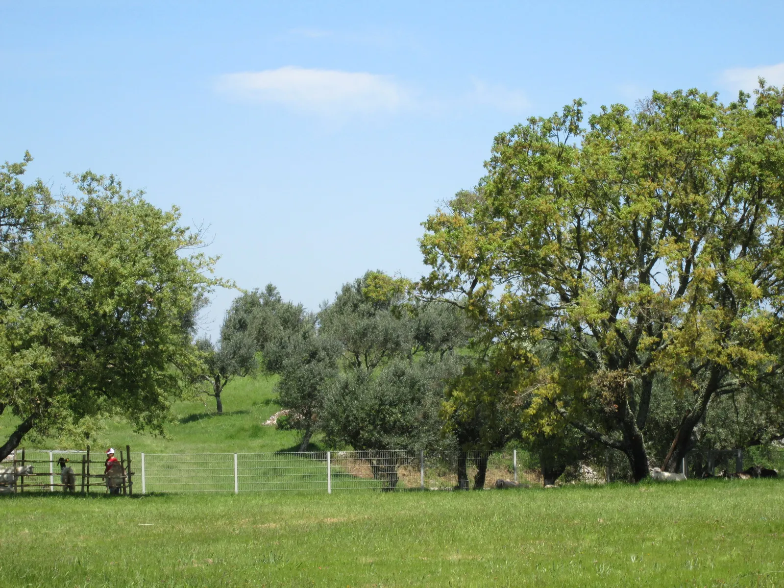 Photo showing: Villa Romana do Rabaçal - villa em Penela, Portugal