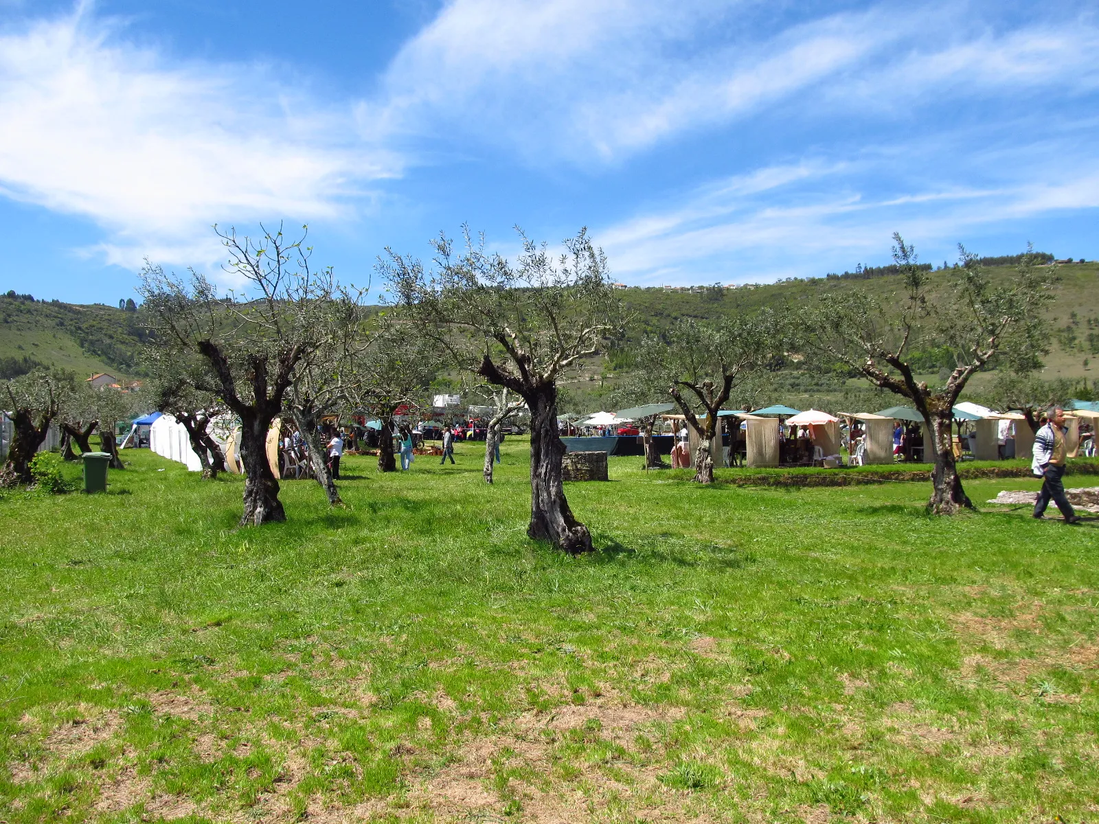 Photo showing: Villa Romana do Rabaçal - villa em Penela, Portugal