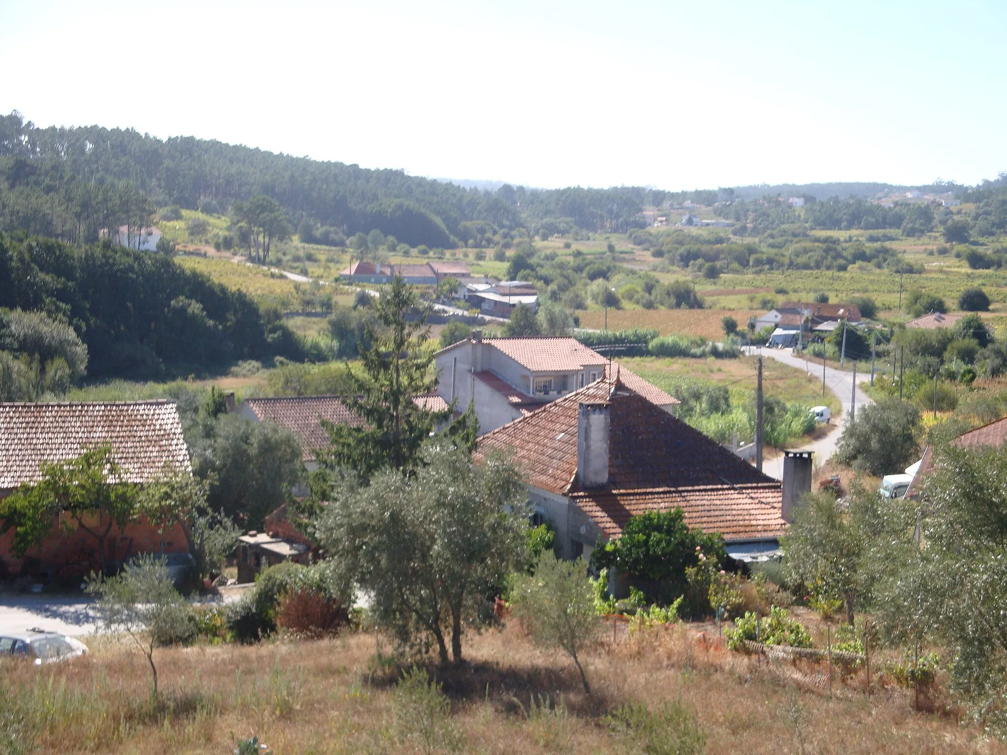 Photo showing: Cacinheira