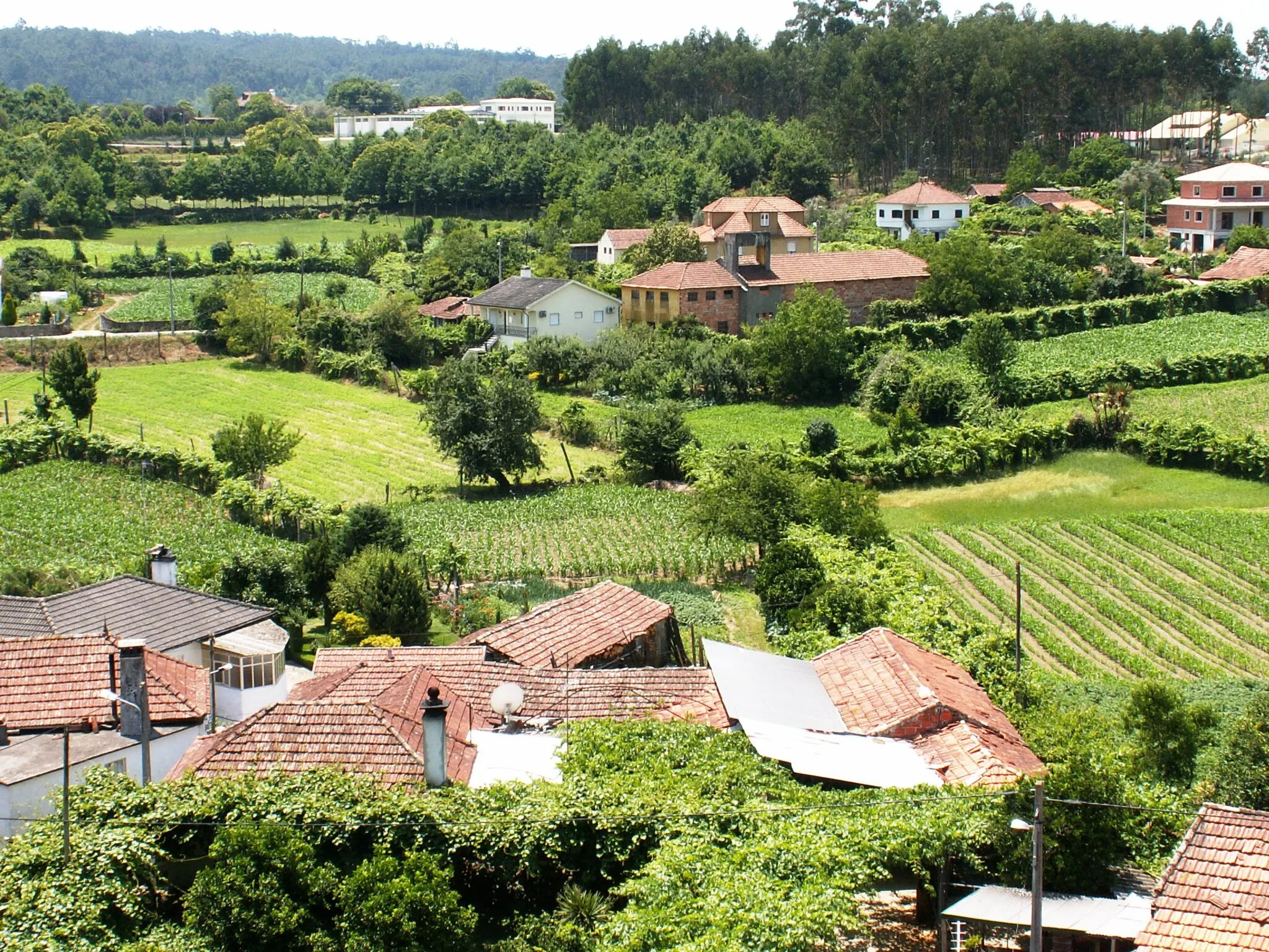 Photo showing: Countryside as it should be