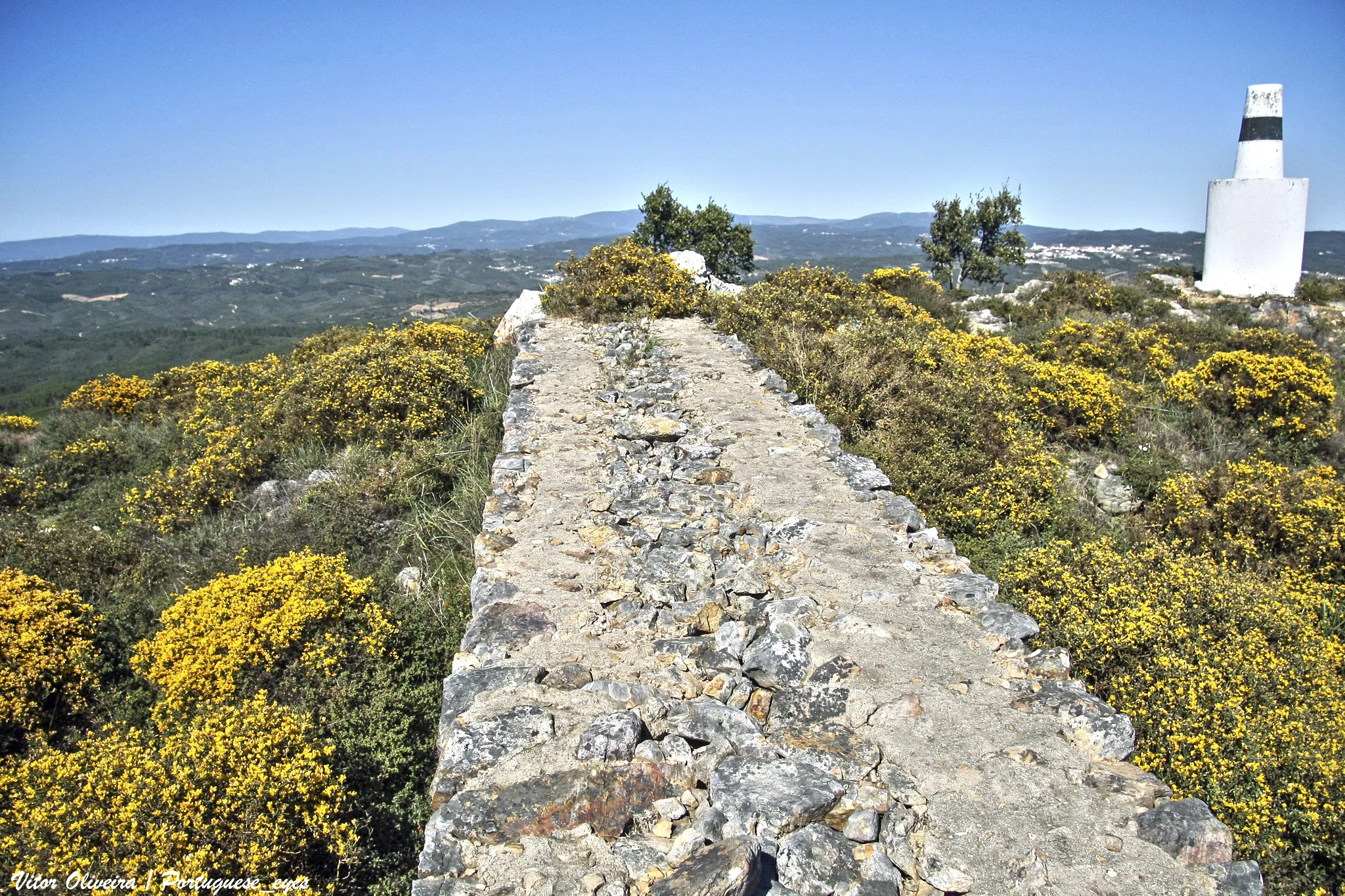 Photo showing: No alto do morro, a norte da vila da Amêndoa, perduraram no tempo vestígios de um povoado que se pensa ter começado a ser habitado 2000 anos a.C.. Deve ter conhecido o seu apogeu durante as guerras lusitano-romanas (entre o século III a.C. e I d.C.).

O Castro de São Miguel é constituído por cerca de 50 habitações, defendidas por muralhas nos lados de mais fácil acesso. Todas as habitações têm paredes de pedra seca ou argamassa muito primitiva e uma planta retangular ou quadrangular. Localiza-se numa posição estratégica junto às antigas vias de comunicação entre pontos estratégicos da Lusitânia pré-romana. turismo.mediotejo.pt/index.php/visitar/cultura/patrimonio...