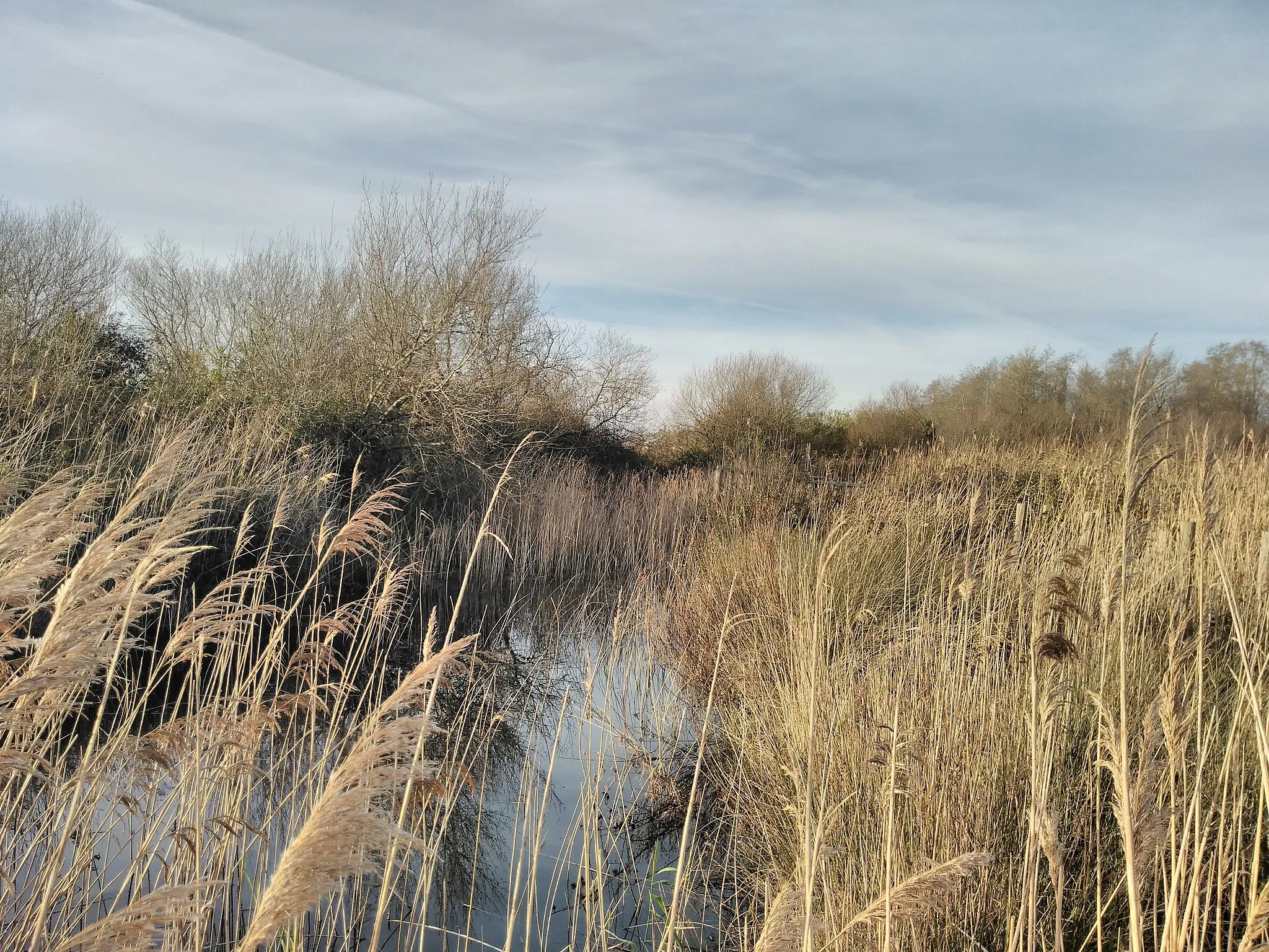 Photo showing: O estado de abandono das Salinas da Junqueira em 2019.