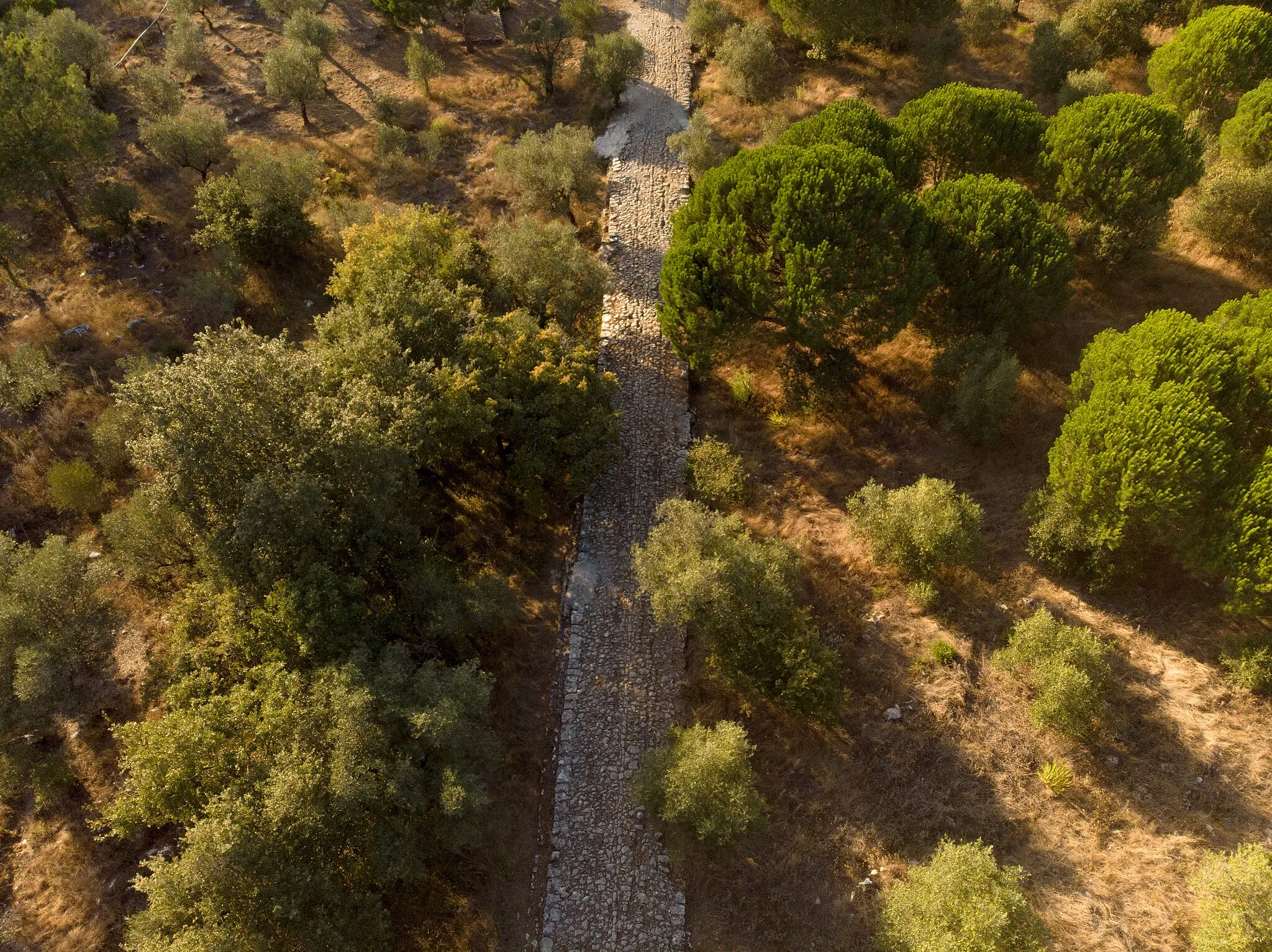 Photo showing: Troço de Via Romana em Alqueidão da Serra - via em Porto de Mós, Portugal