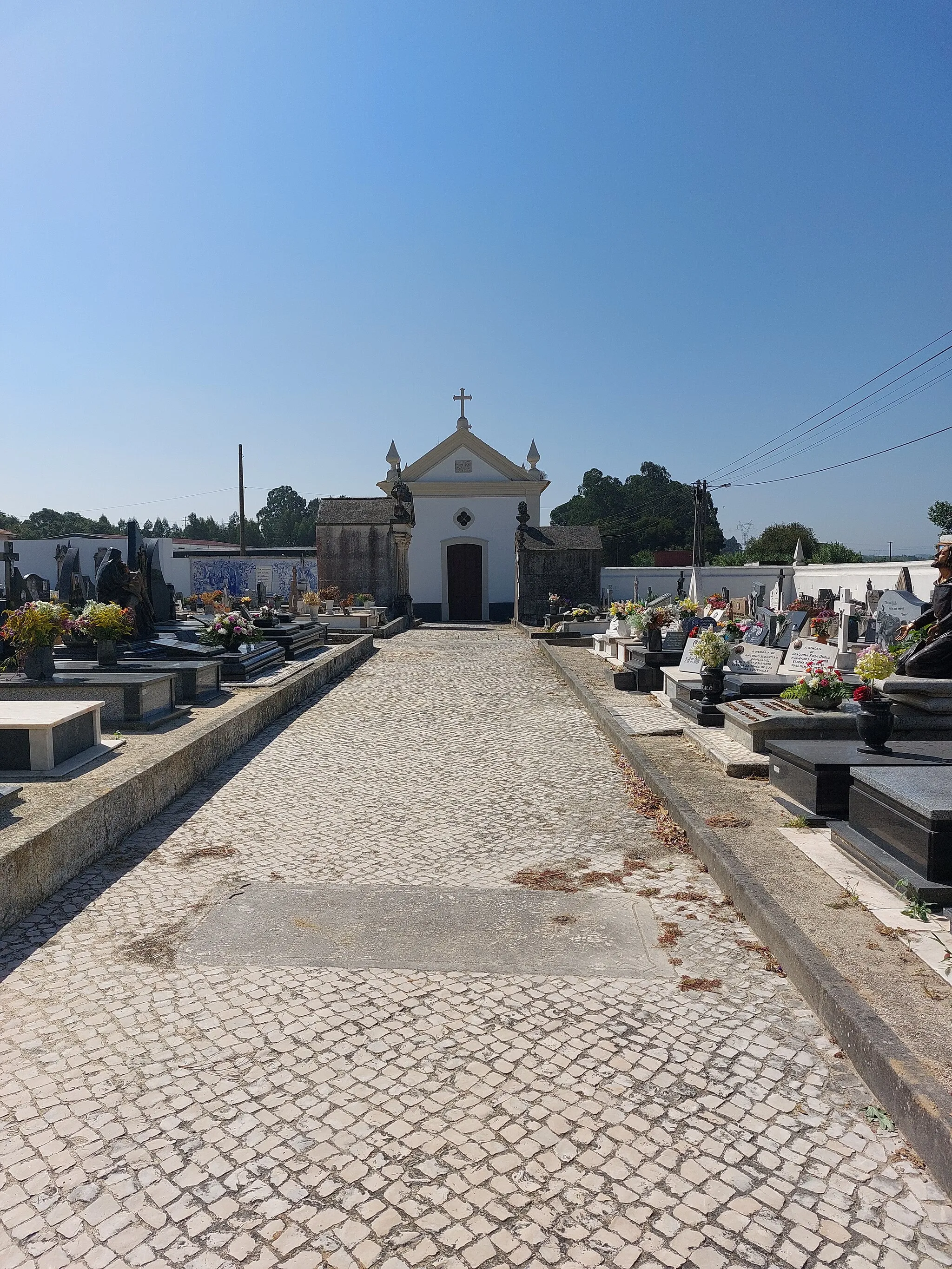 Photo showing: Alameda do Cemitério de Regueira de Pontes