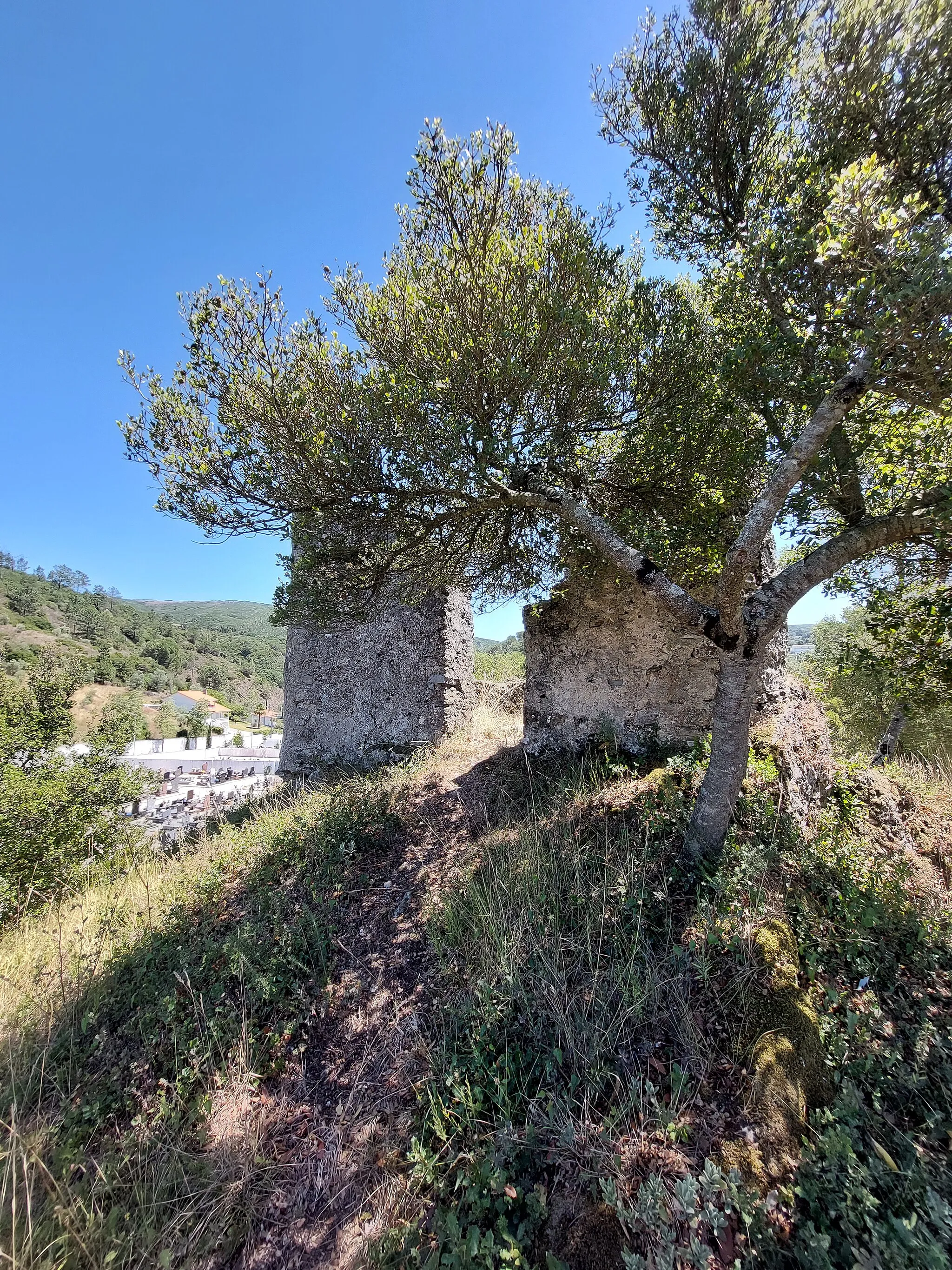 Photo showing: Vegetação junto à Forca de Porto de Mós