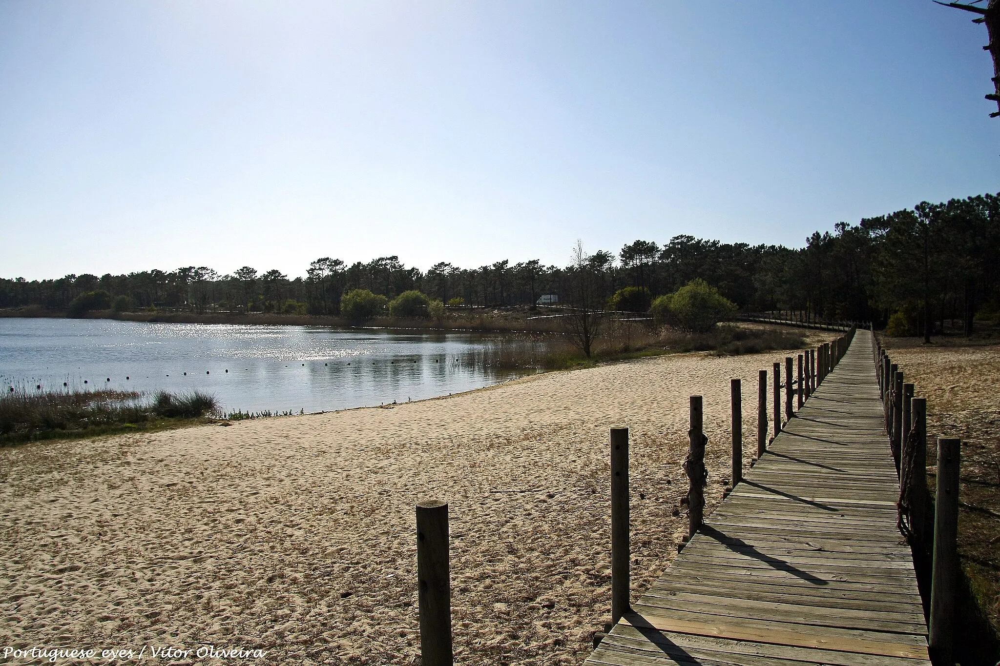 Photo showing: Tem uma extensão de 230 a 700 metros, com 2 km de margem, pelo que se situa na fronteira entre a mata do Urso e do Pedrógão, a norte do Pinhal de Leiria. Situa-se a 6 km da praia do Pedrógão, sendo uma lagoa de água doce rodeada de pinheiros bravos e mansos, eucaliptos, rosmaninho, alecrim, samouco… Podemos ainda observar caniços na lagoa, bem como uma grande diversidade de peixes, anfíbios, répteis, mamíferos, aves… Antigamente podiamos encontrar na lagoa ruivacos, carpas, salmões e sabogas, no entanto estes peixes foram desaparecendo. Segundo se consta, em meados do século passado, algum produto químico teria matado quase a totalidade dos peixes, que foram apodrecendo nas margens. No seu lugar foram então colocados achigãs, peixe carnívoro e carpas, que ainda hoje abundam na lagoa.
Os habitantes da Ervedeira, a 2 km da lagoa, utilizavam cestos, narsas e enchalavadas (utensílios feitos pelos homens do Pedrógão que serviam para a pesca) para pescar na Lagoa e iam vender, pelas portas, o peixe à xícara. Actualmente pratica-se pesca desportiva, e desportos náuticos como a canoagem.
É também utilizada como estância balnear, e está equipado com parque de merendas.

Hoje na lagoa podemos observar vários problemas, como a eutrofização da água e uma diminuição do nível da lagoa por acumulação de sedimentos, diminuição dos níveis de pluviosidade e a realização de vários furos para captar água ao seu redor. pt.wikipedia.org/wiki/Lagoa_da_Ervedeira