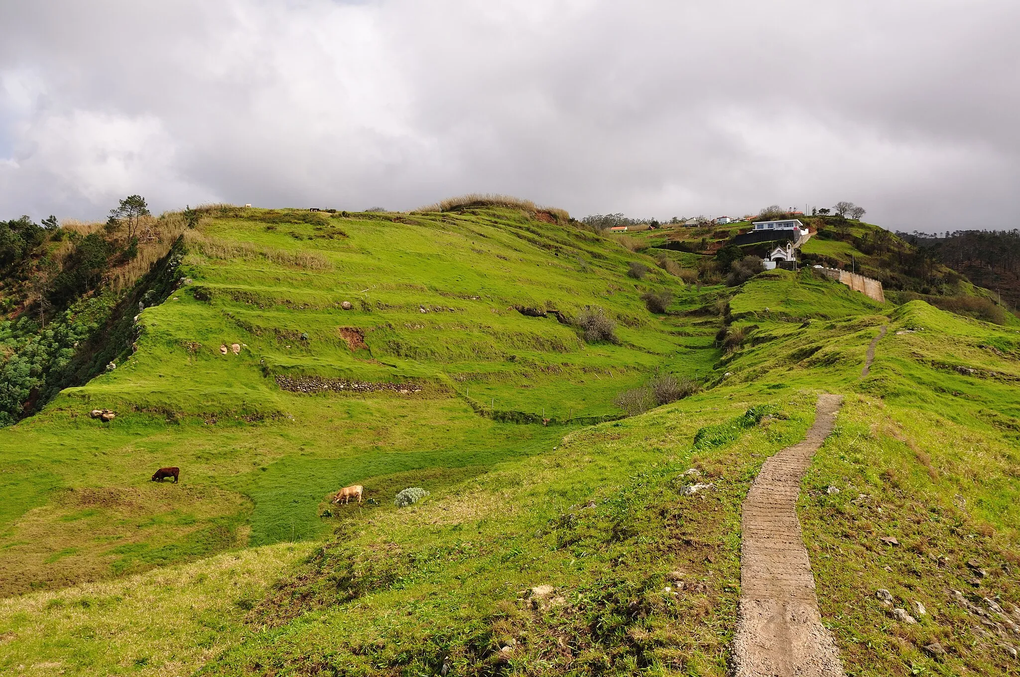 Photo showing: Portugal, Madeira, trail to the view point below Lombada Velha