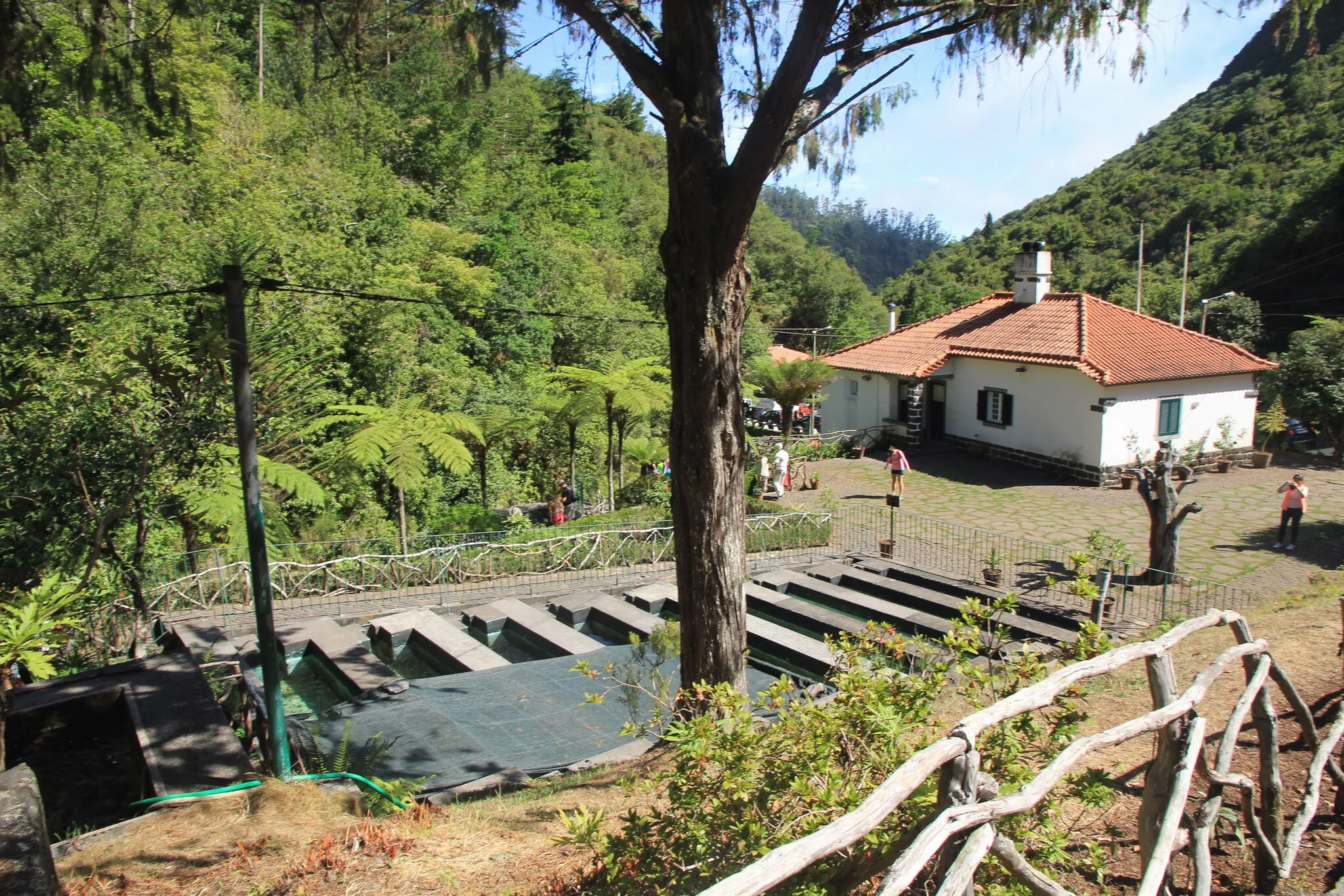 Photo showing: The fish farm (trouts production) in village Ribeiro Frio, central Madeira