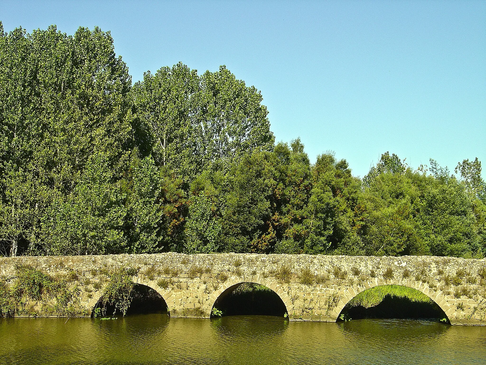 Photo showing: Fica situada a 100m da antiga Estrada Nacional n.º 1, permitindo a travessia do vale de Cabeço do Vouga. Encontra-se no traçado da extensa via romana que de Bracara Augusta se dirigia a Olisipo.
Esta ponte apresenta uma solução arquitectónica adaptada à amplitude e planura do largo vale. Possui três planos, os dois dos extremos em rampa, orientados sensivelmente no sentido Norte Sul, sugerindo a sua planta um "s" alongado. Este extenso traçado, com cerca de 120m, poderá resultar da procura dos pontos de fixação mais firmes, fundando-se no grés que constitui a rocha base.
O tabuleiro, limitado por guardas de alvenaria, possui 5m de largura sendo suportado por cinco arcos desiguais. Os dois primeiros, situados em ambas as extremidades, são mais pequenos e de volta perfeita, tendo cerca de 4,80m de amplitude. Os três centrais são rebaixados e têm cerca de 8,10m de corda. As aduelas dos arcos apresentam pedras com siglas de finais da Idade Média. Os respectivos quatro pegões tem os talhamares situados somente a montante.
No lado Norte da ponte encontra-se um nicho-oratório, anteriormente transladado, sendo a edícula, de calcário, trabalho renascentista datado do século XVI. A imagem que aí se encontrava era uma escultura de barro setecentista de nossa Senhora do Rosário. O gradeamento que a encerra tem um letreiro com a data de 8 de Julho de 1717.
A cronologia da implantação desta ponte levanta algumas questões, fazendo-se remontar a sua fundação ao período romano, pois seria neste o local onde a via romana, no troço que de Emínio (Coimbra) ia a Cale (Gaia/Porto), fazia travessia.
O antigo selo da Terra do Vouga, de 1310, apresenta como figura central uma ponte de cinco arcos, com pilares altos ao centro, devendo ser então o leito estreito e fundo. Em 1327 surge ainda referência à Ponte nova do Marnel.
Já no reinado de D. João III realizaram-se importantes obras nessa ponte (1552), altura em que ou foi reconstruída ou construída de raiz. No século XVIII encontrar-se-ia muito assoreada, e em tempo de cheias só se passaria de barco. Presume-se que o intenso assoreamento, calculado em cerca de 6m, terá retirado a imponência à ponte tal como era retratada no século XIV.
Terá assim, eventualmente, existido uma ponte romana que foi substituída por uma medieval durante o século XIV, da qual nas obras do século XVI terá sido reaproveitado, como as pedras sigladas dos arcos. (JAM) www.ippar.pt/pls/dippar/pat_pesq_detalhe?code_pass=74131

See where this picture was taken. [?]