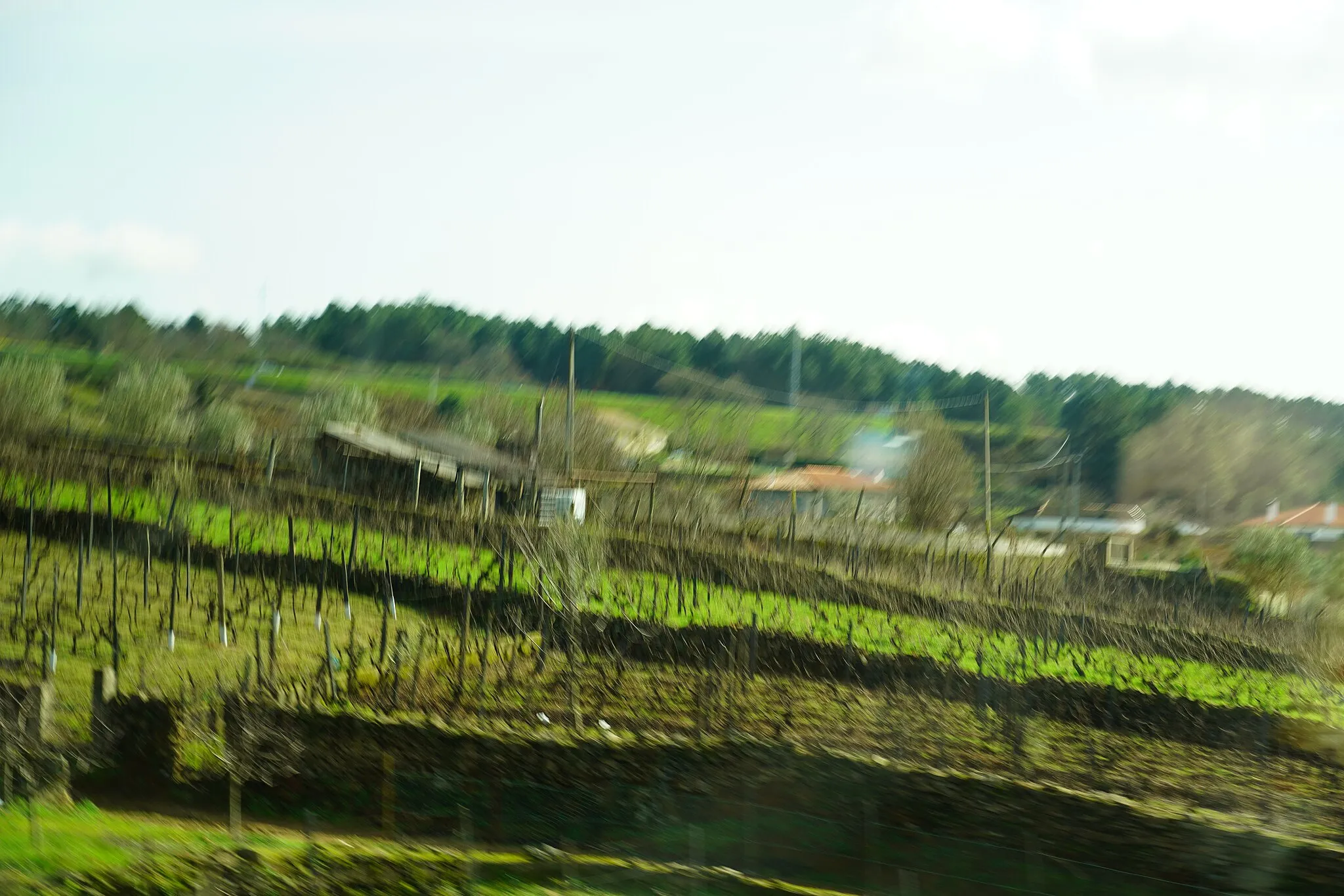 Photo showing: Vale do Río Douro