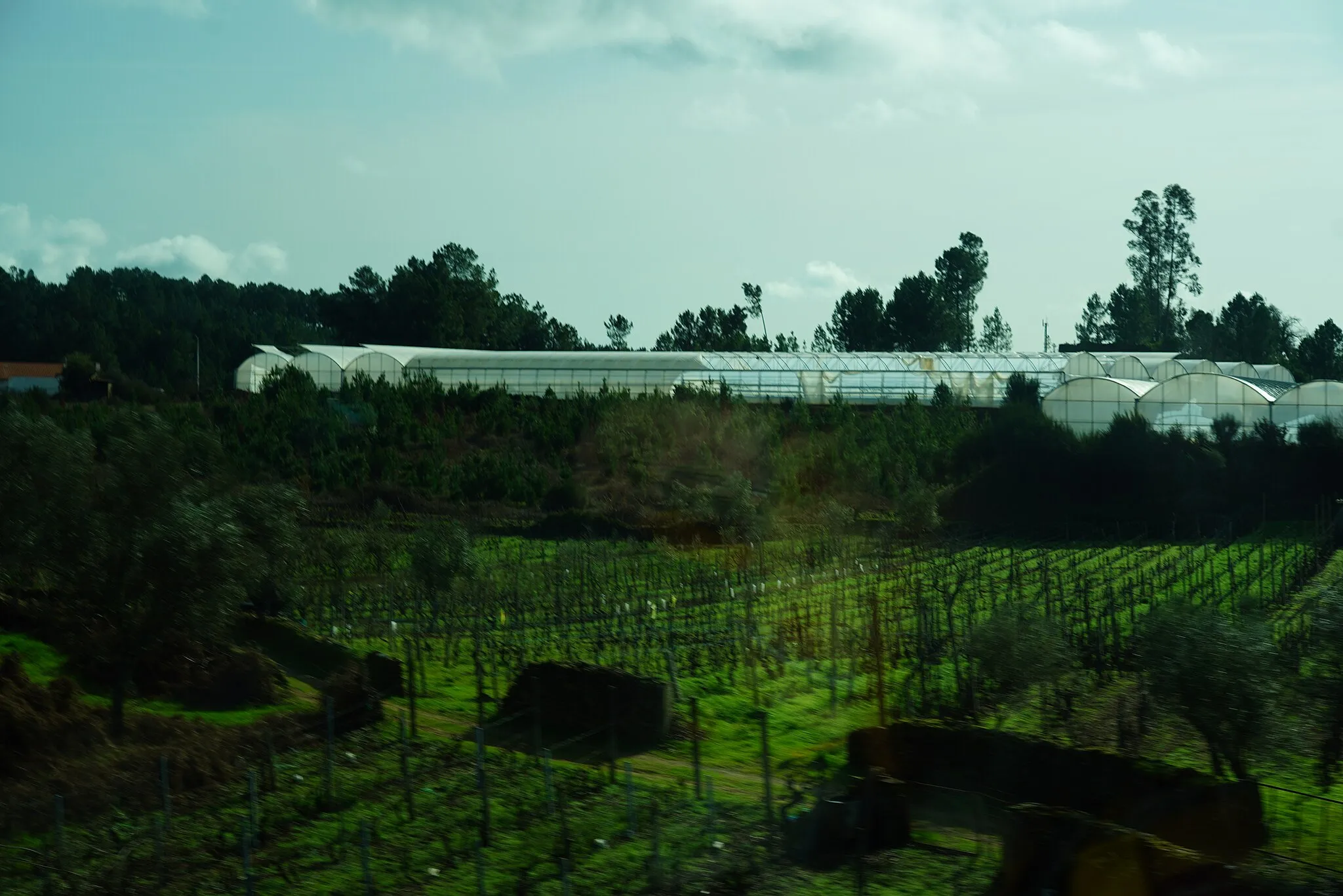 Photo showing: Vale do Río Douro