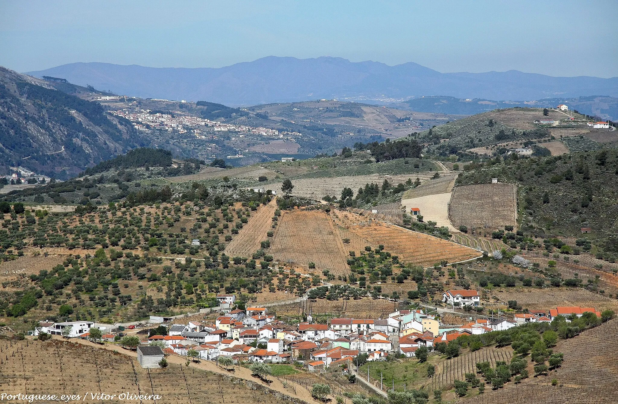 Photo showing: Espinhosa - Portugal