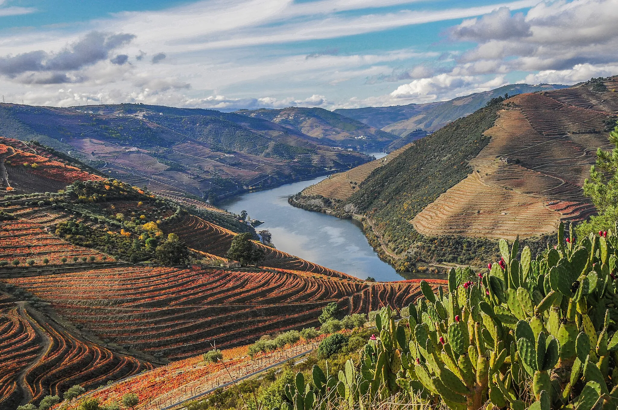 Photo showing: Landscape in Valença do Douro, Tabuaço, Portugal