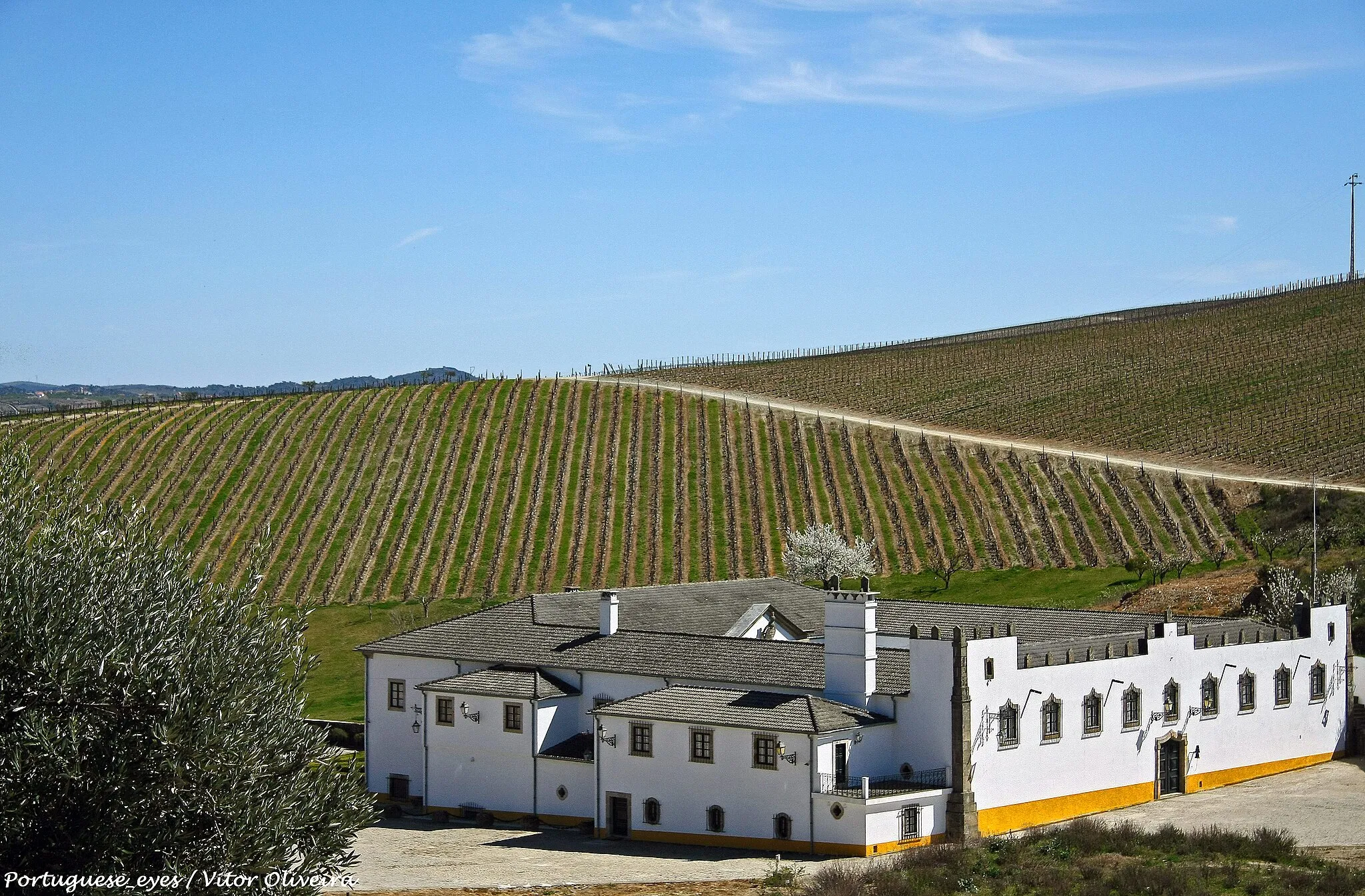 Photo showing: Situada em S. João da Pesqueira, uma das mais reputadas zonas de produção de vinhos do Douro, a Quinta de Cidrô transformou-se num modelo de experimentação vitivinicola para toda a região.

Adquirida em 1972, a Real Companhia Velha tem conduzido nesta quinta um vasto programa de reconversão, incluindo o interior da Casa e os próprios vinhedos, através de uma nova plantação de sistema vertical aplicado em grande escala. realcompanhiavelha.pt/pages/quintas/5