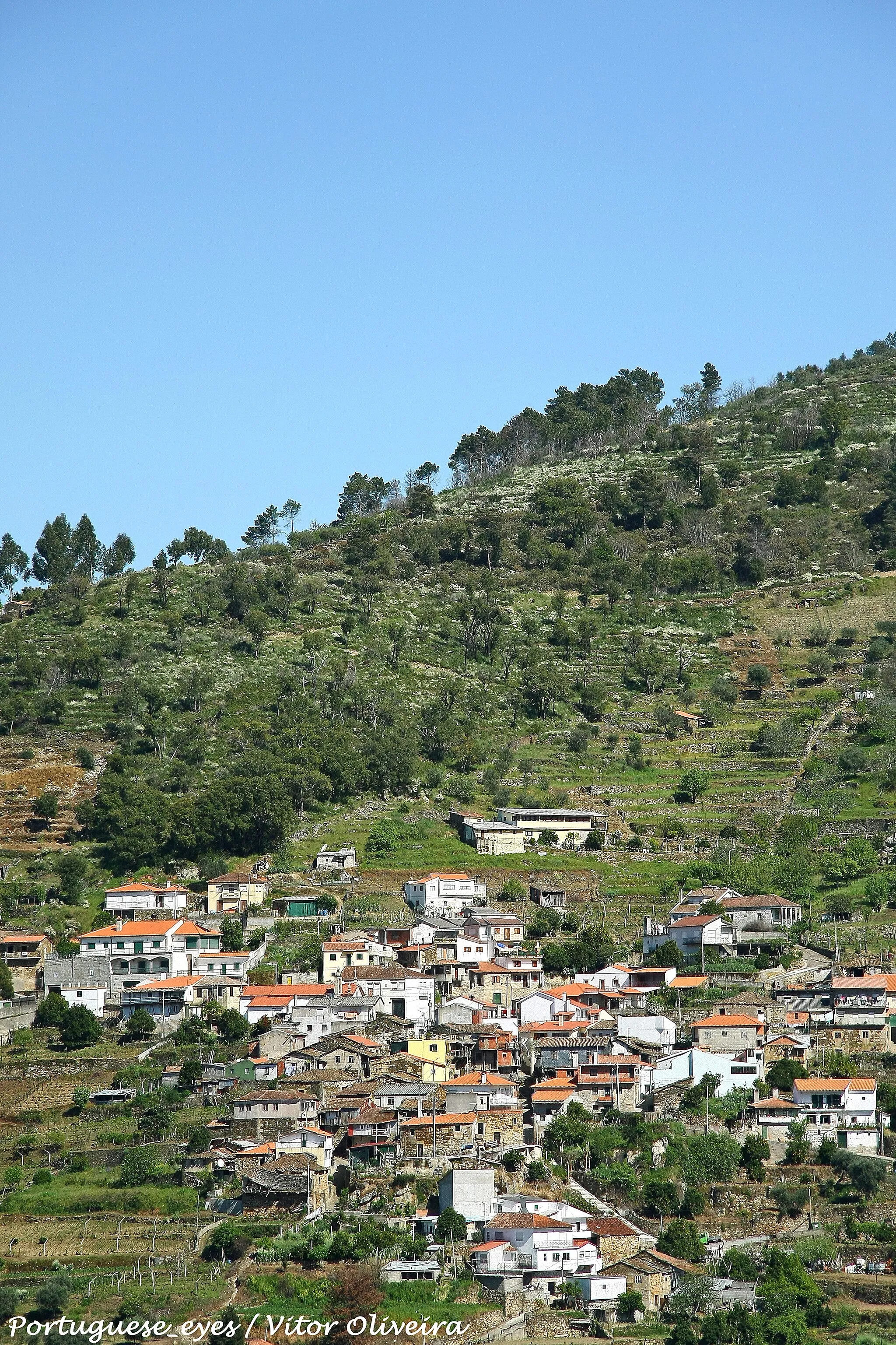 Photo showing: Santa Leocádia - Portugal