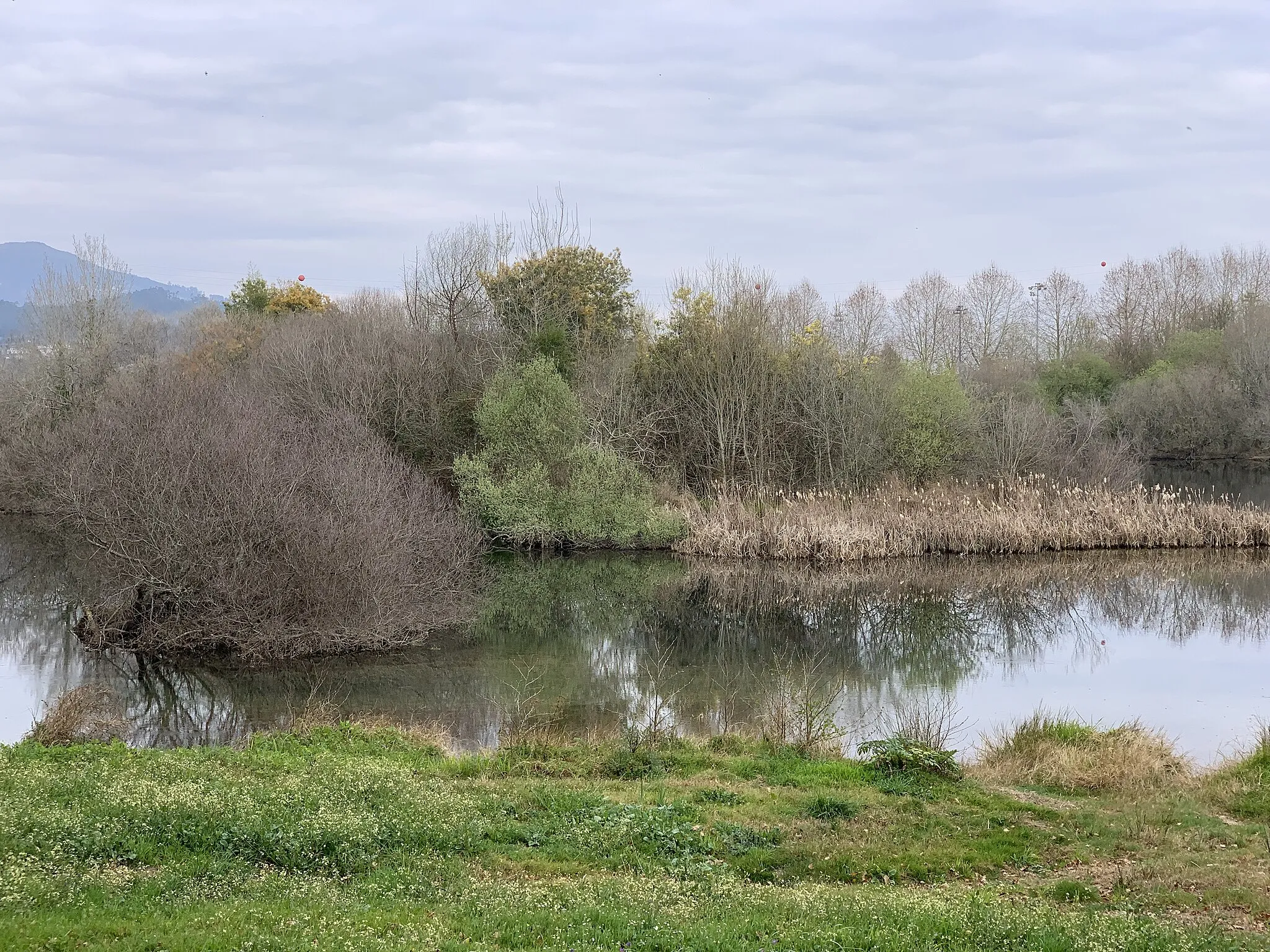 Photo showing: Viana do Castelo, Portugal - February 2022