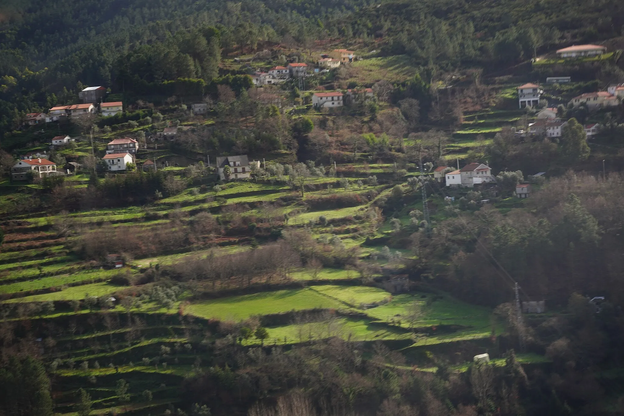 Photo showing: Vale do Río Douro