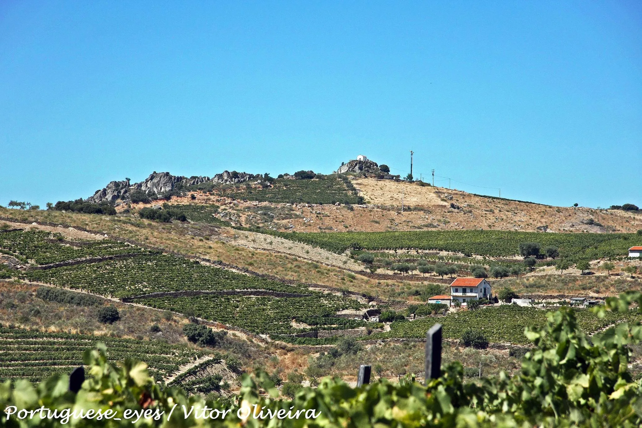 Photo showing: Deste local tem-se uma vista panorâmica sobre o Rio Douro (zona do Vesúvio), vendo-se também os miradouros de Nossa Senhora do Viso, o Castelo de Numão, as localidades de Lousa e Santo Amaro e a Capela de Santa Barbara de Mós. A paisagem é essencialmente vitivinícola, existindo também o amendoal, o que implica que, na época da amendoeira em flor, esta paisagem se revista de grande beleza. www.cm-fozcoa.pt/turismo/Paginas/Miradouros.aspx

See where this picture was taken. [?]