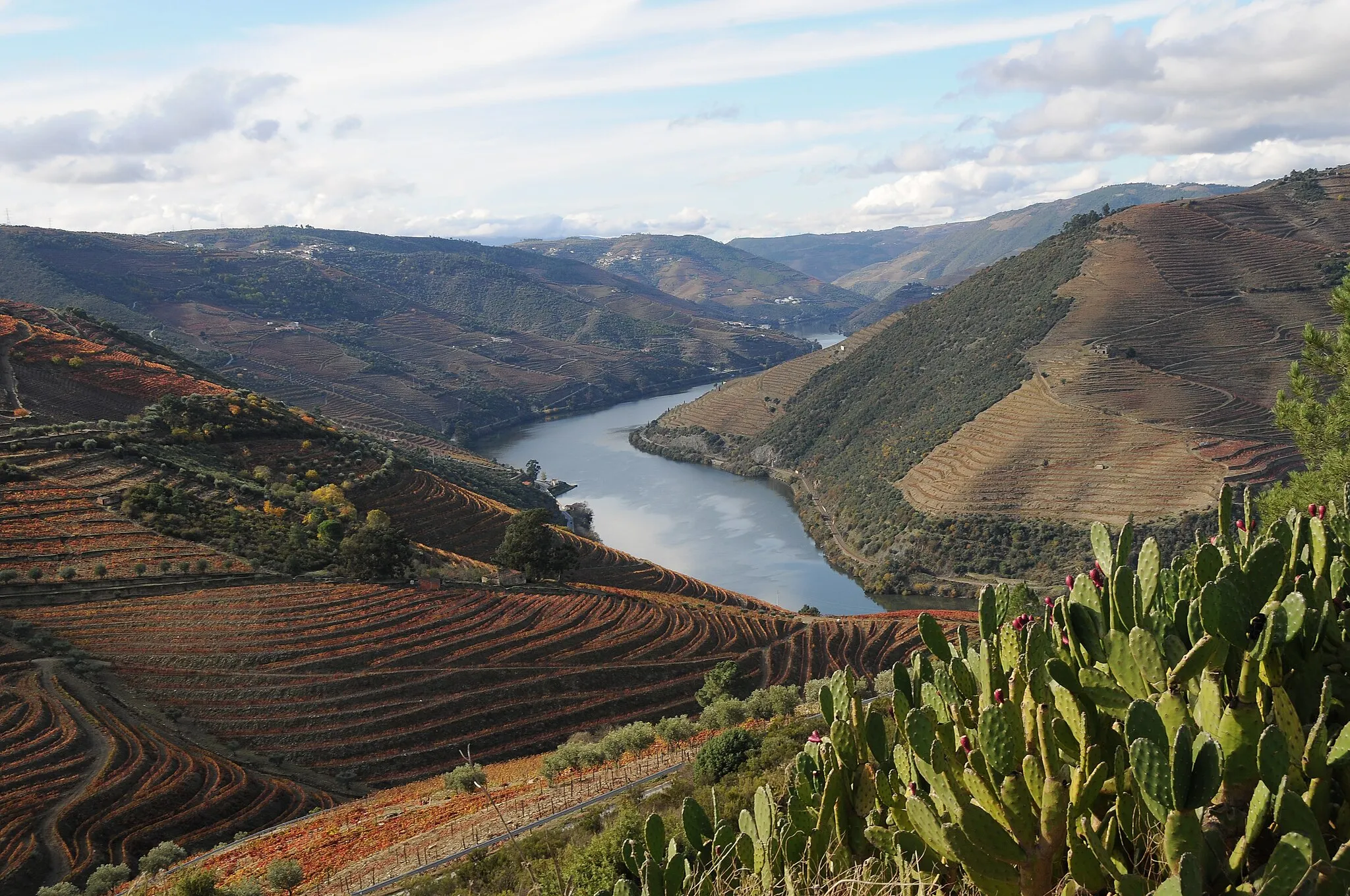 Photo showing: Landscape in Valença do Douro, Tabuaço, Portugal