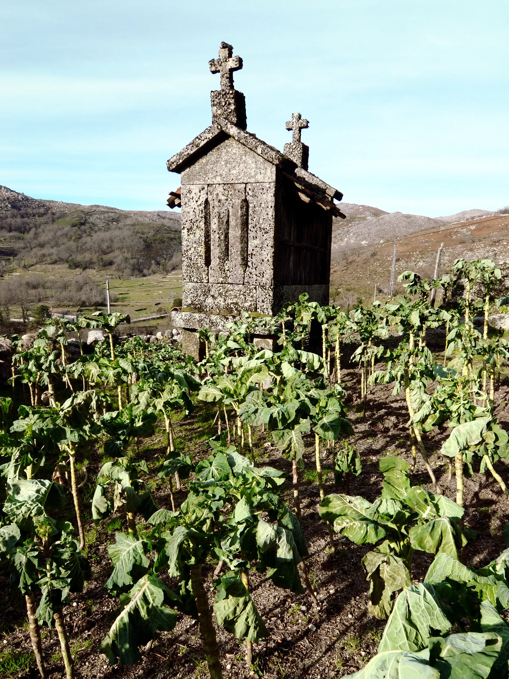 Photo showing: Brufe, Portugal [2007]