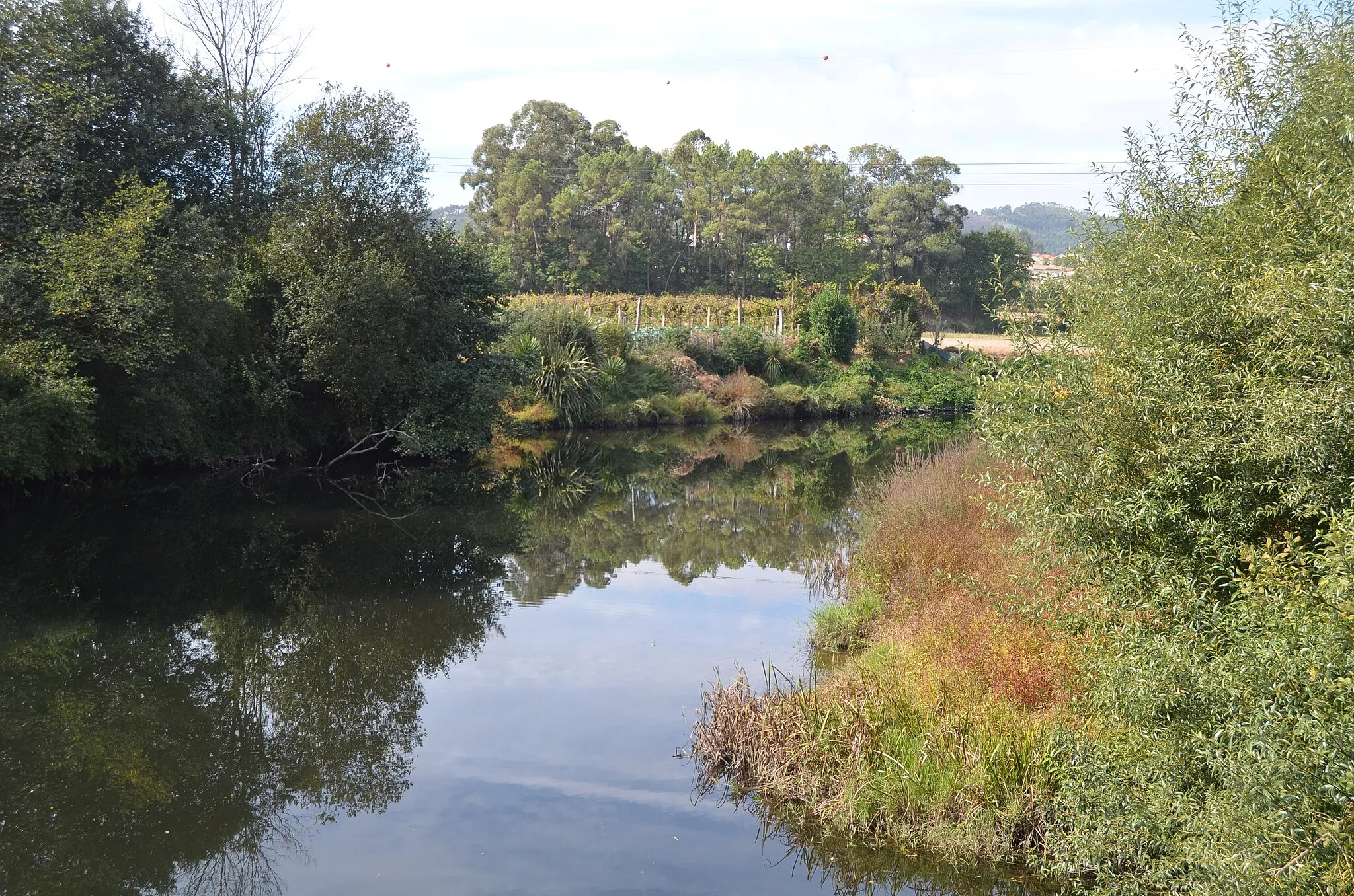 Photo showing: Mirrors in the Selhe I