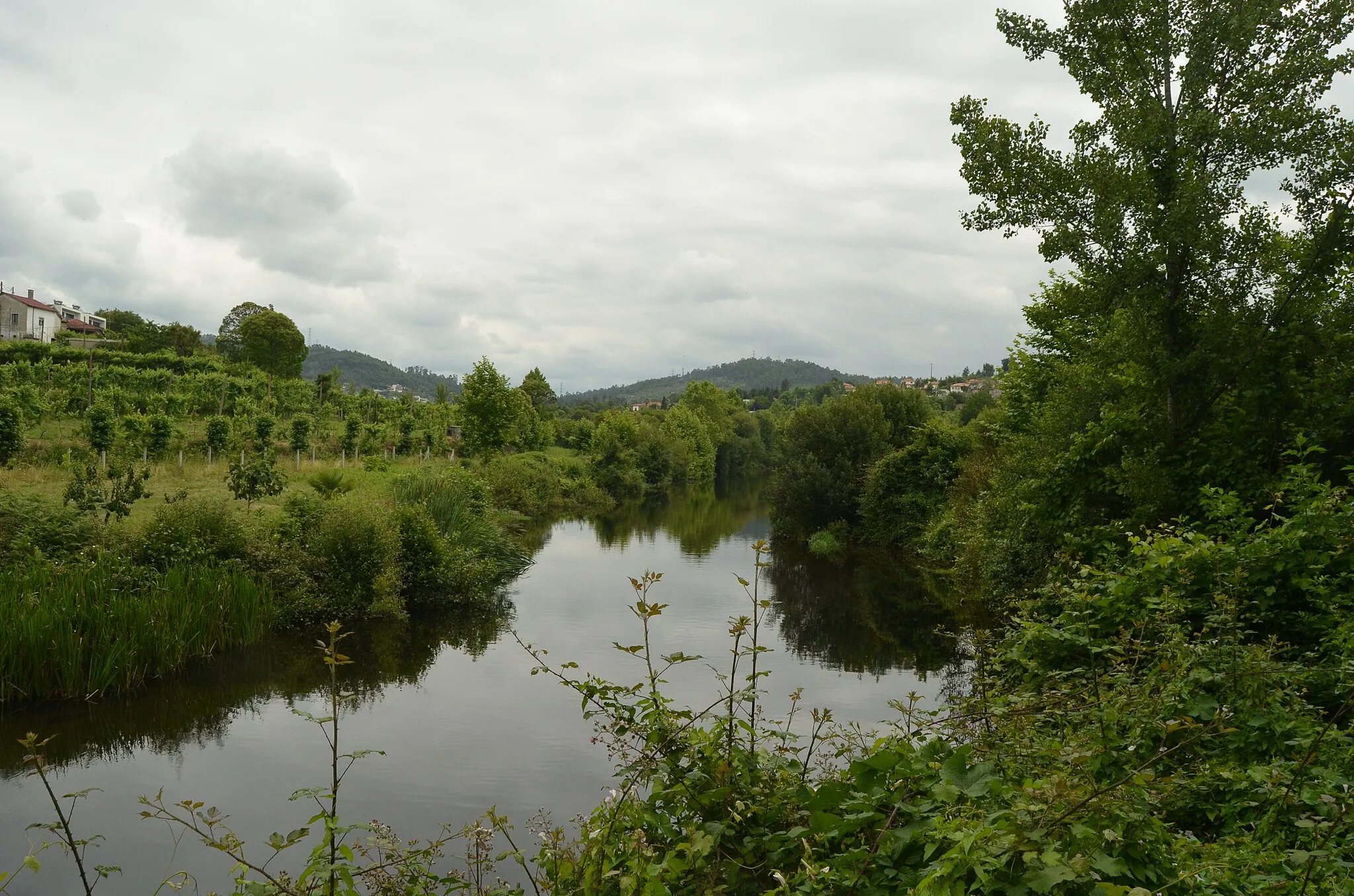 Photo showing: Caminhos Medievais III