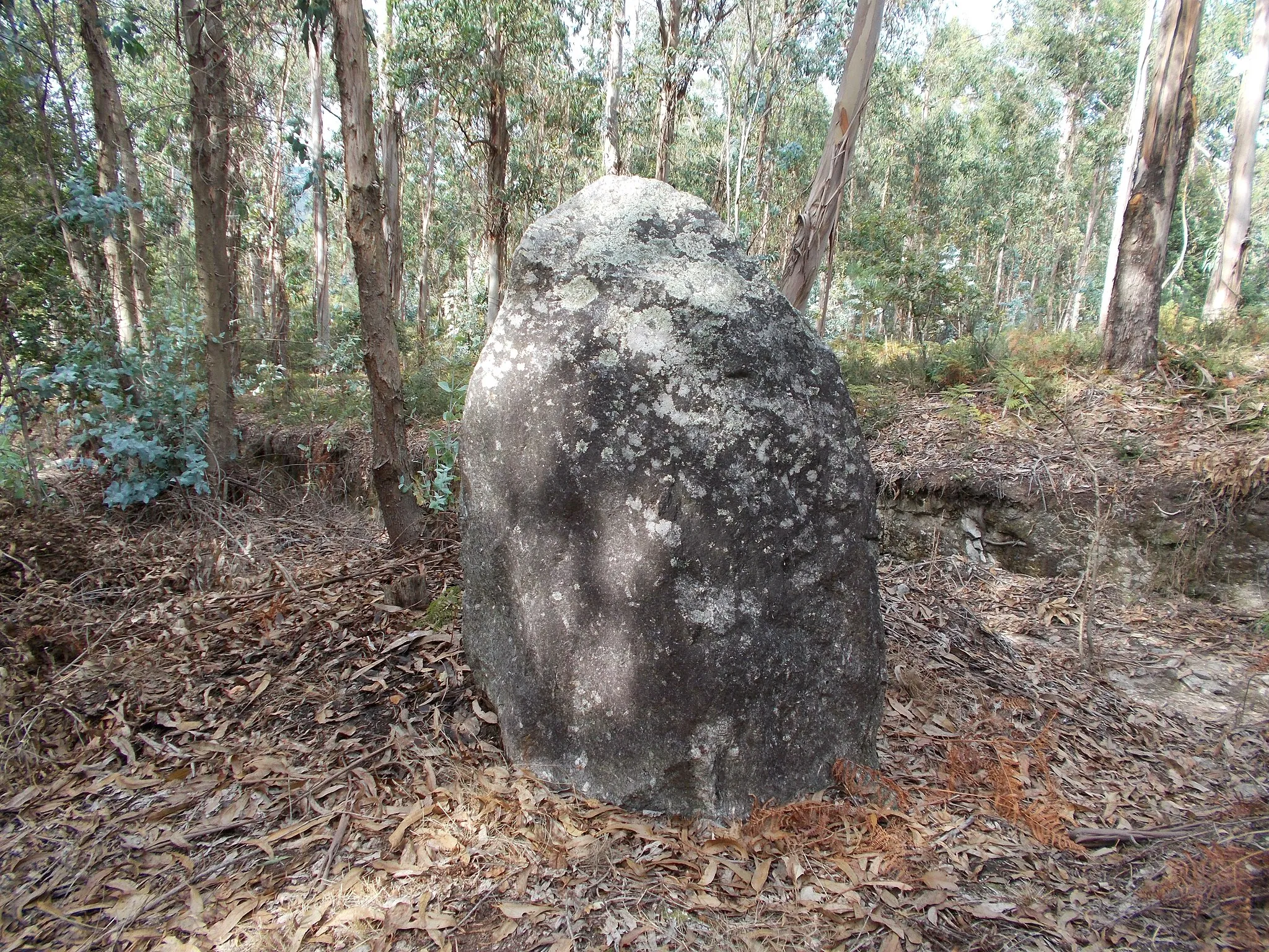 Photo showing: Menir dos Penedos da Portela, União das Freguesias da Ribeira do Neiva, Vila Verde, Portugal