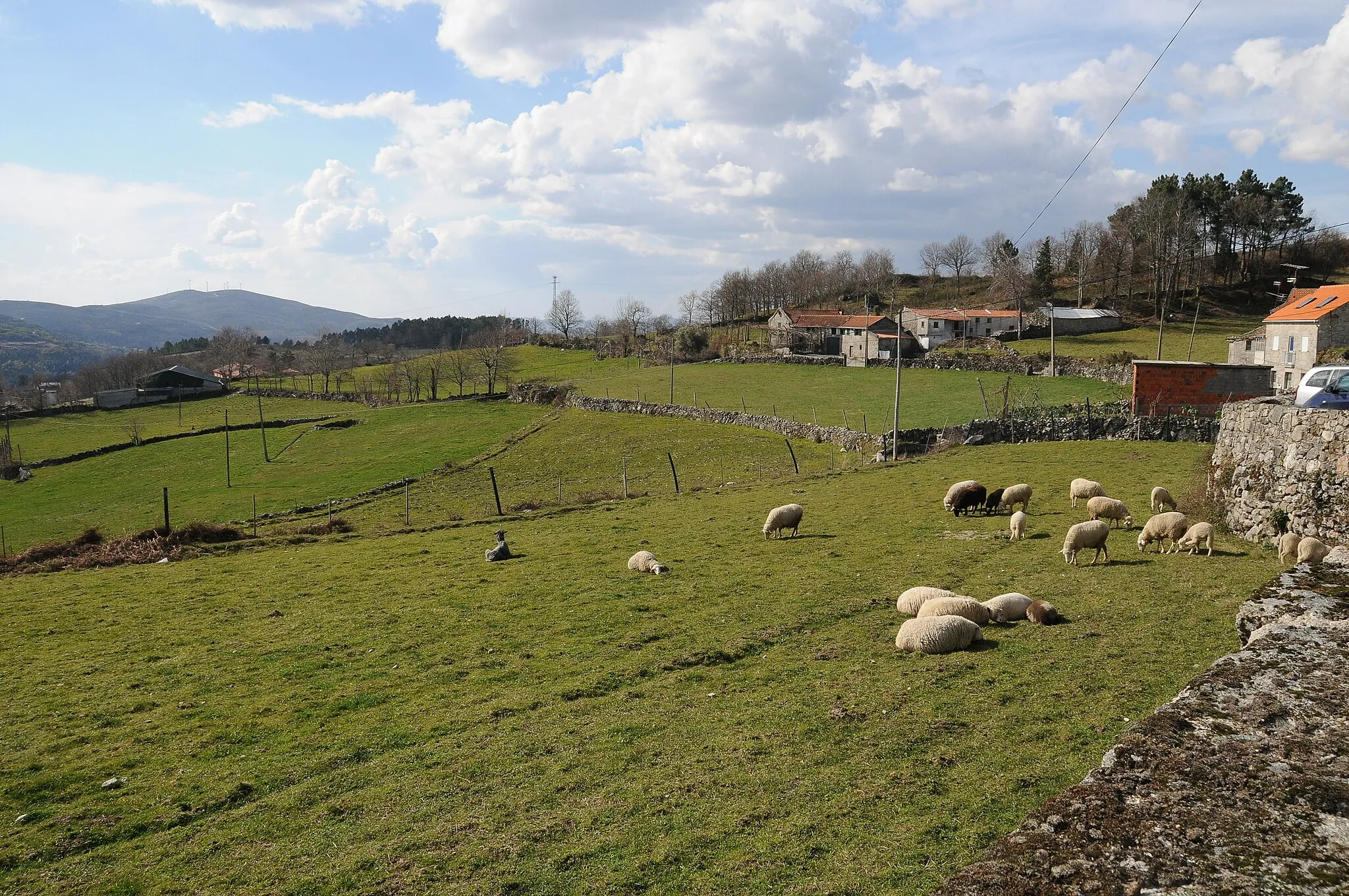 Photo showing: Field near Campos, Vieira do Minho, Portugal