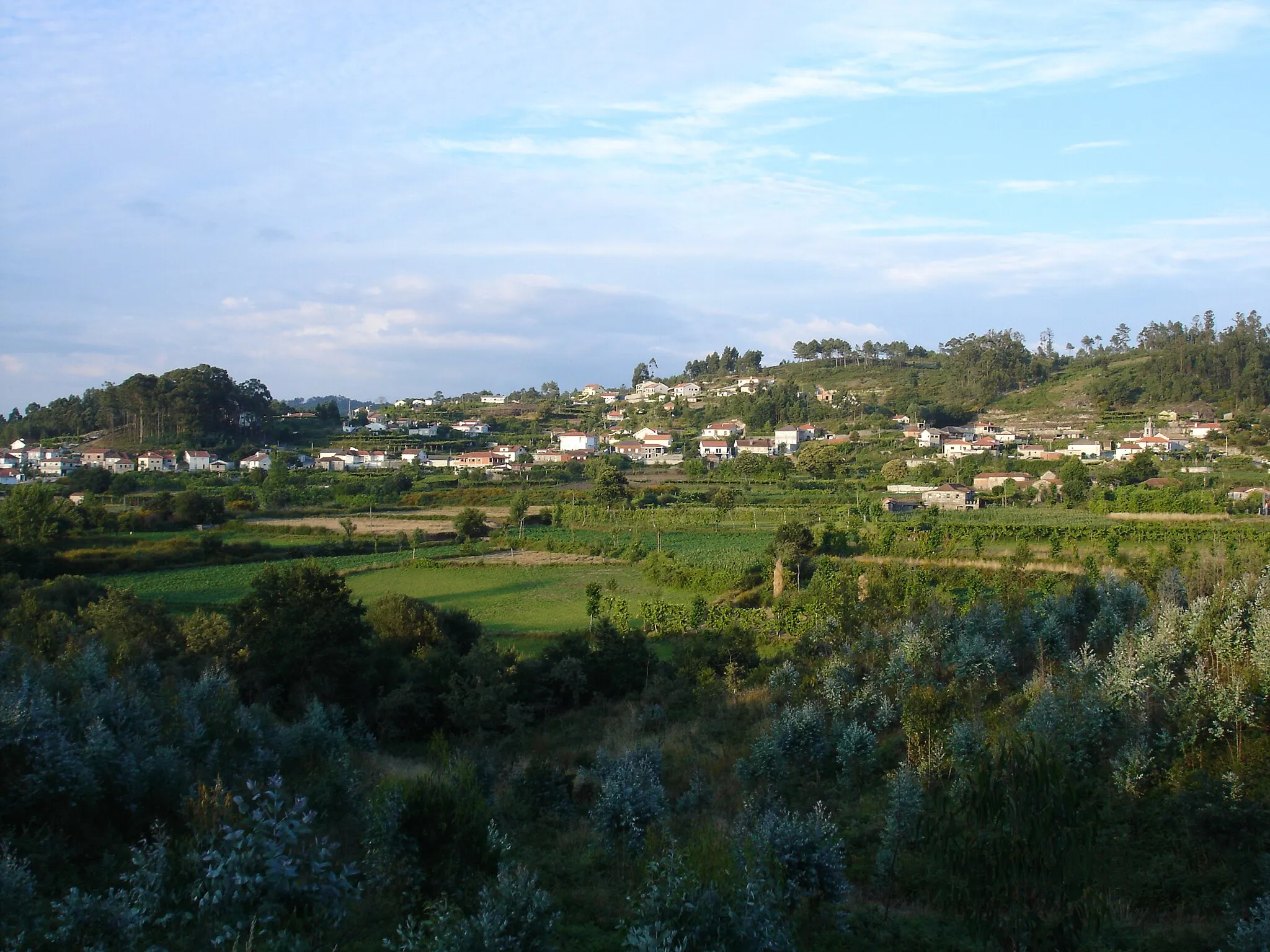 Photo showing: picture of Ardegao Fafe