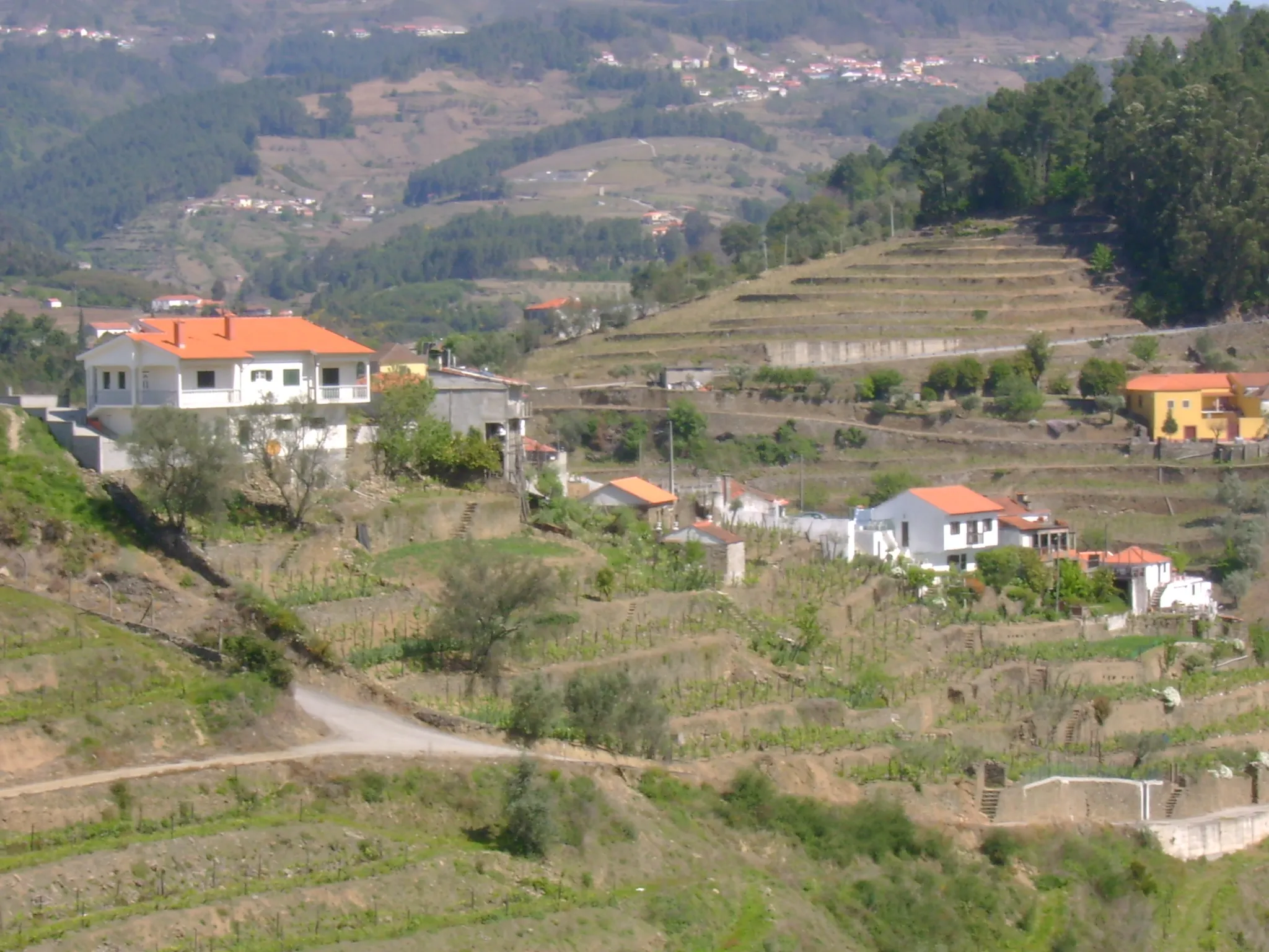 Photo showing: Boavista, Vila Marim, Mesão Frio, Portugal