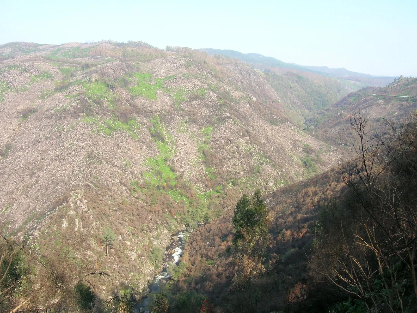 Photo showing: Canón do Oitavén - Pazos de Borbén - Pontevedra Cañón del Oitavén