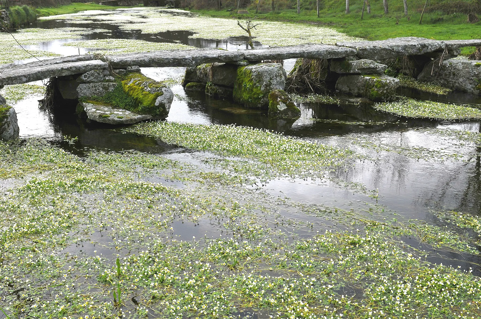 Photo showing: Clapper bridge, made with granite slabs. Fariza, Zamora, Castile and León, Spain