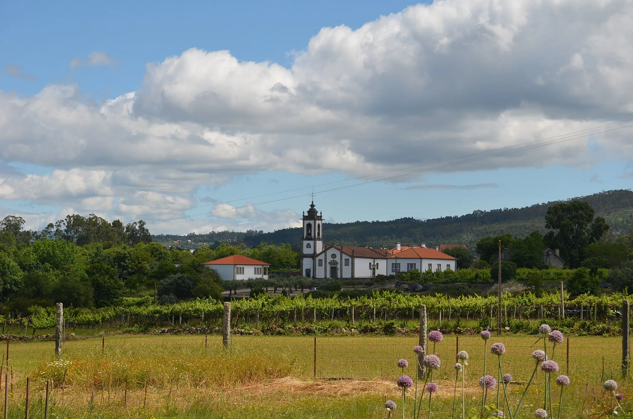 Photo showing: Trilho de S. Julião do Freixo XVI