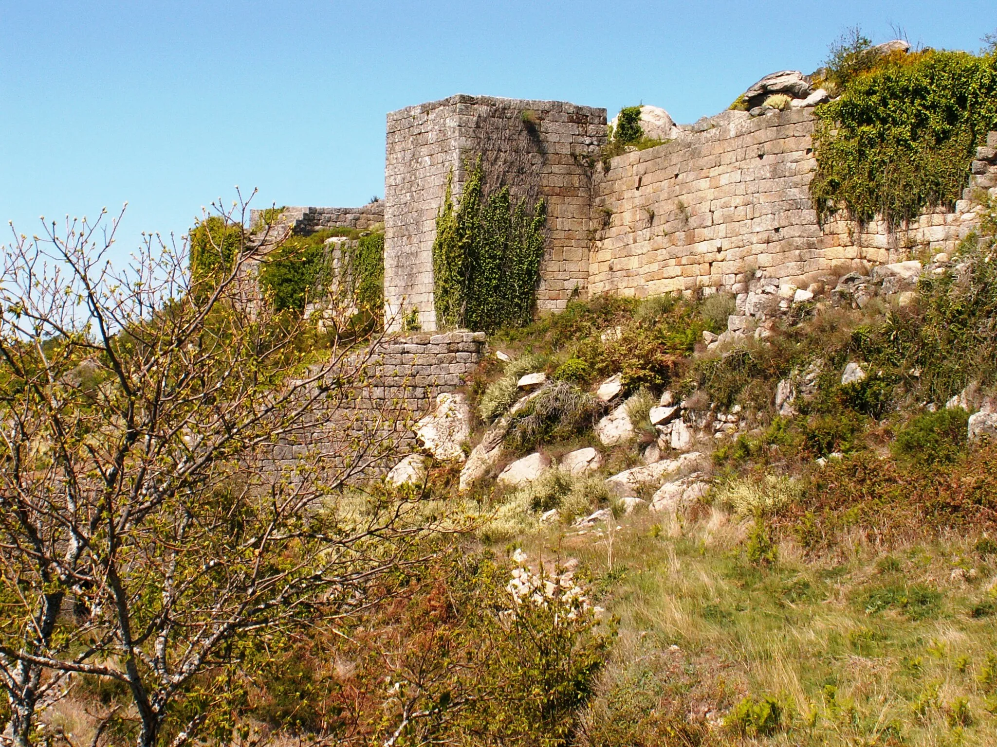 Photo showing: From grey to green