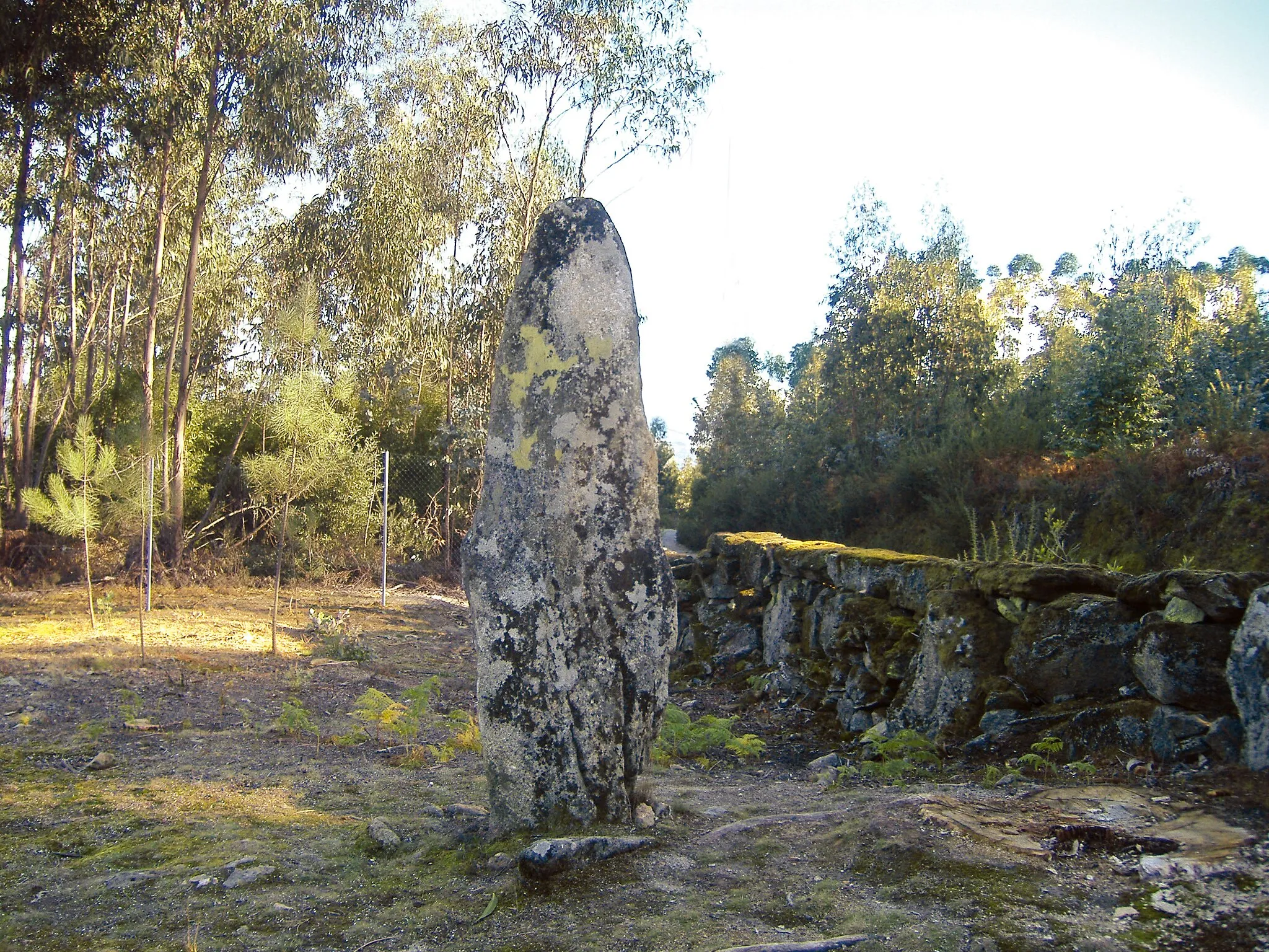 Photo showing: Menir de Luzim, também conhecido por «Marco de Luzim»- Penafiel, Luzim, Tapada de Sequeiros, E.N. 312
Monumento megalítico constituído por um monólito granítico de secção sub-pentagonal, implantado verticalmente no solo e atingindo cerca de 2 metros de altura.

Classificação: I.I.P., Decreto N.º 251/70, de 03 de Junho de 1970