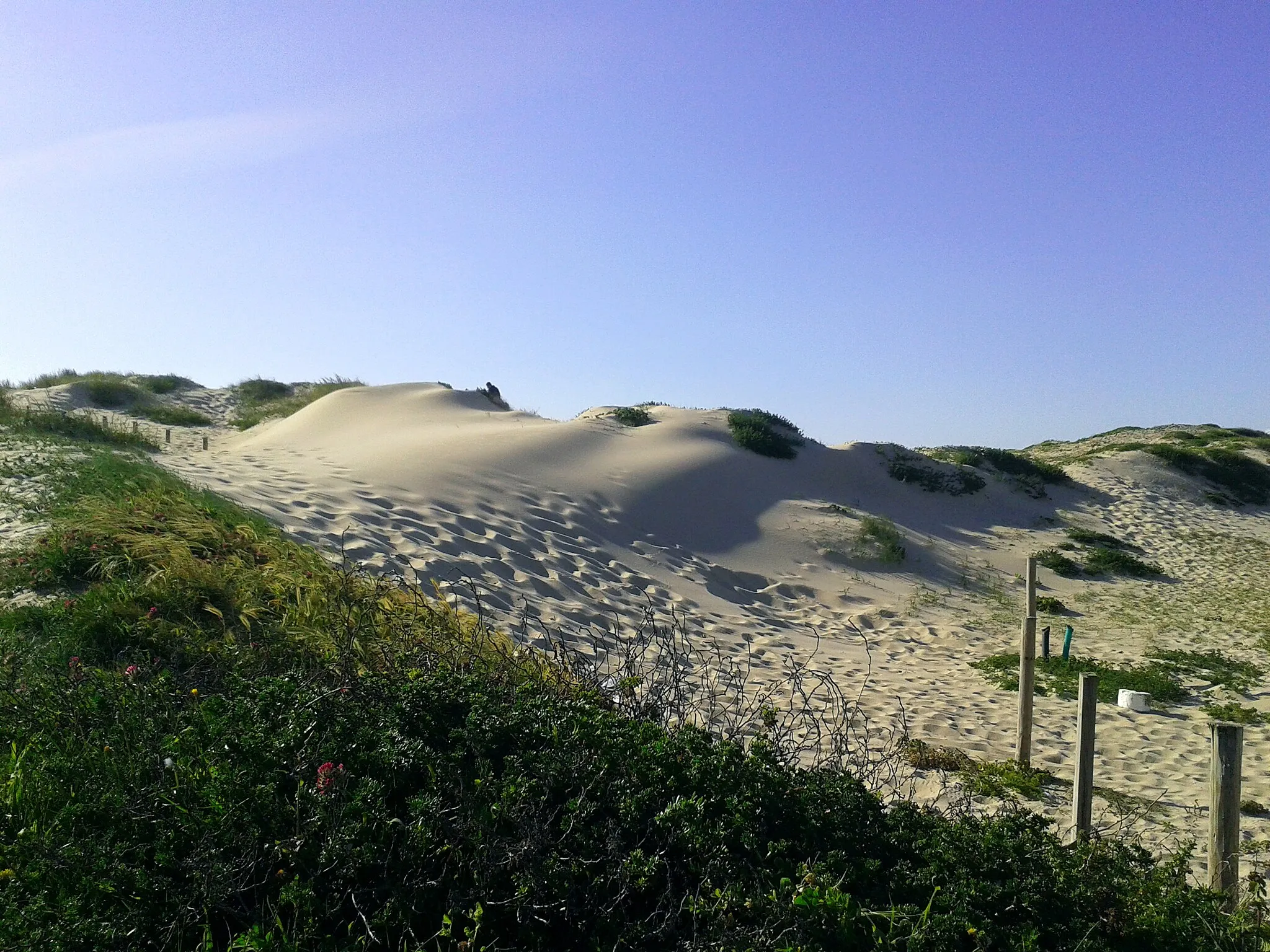 Photo showing: Barranha Sand Dunes, Póvoa de Varzim, Portugal