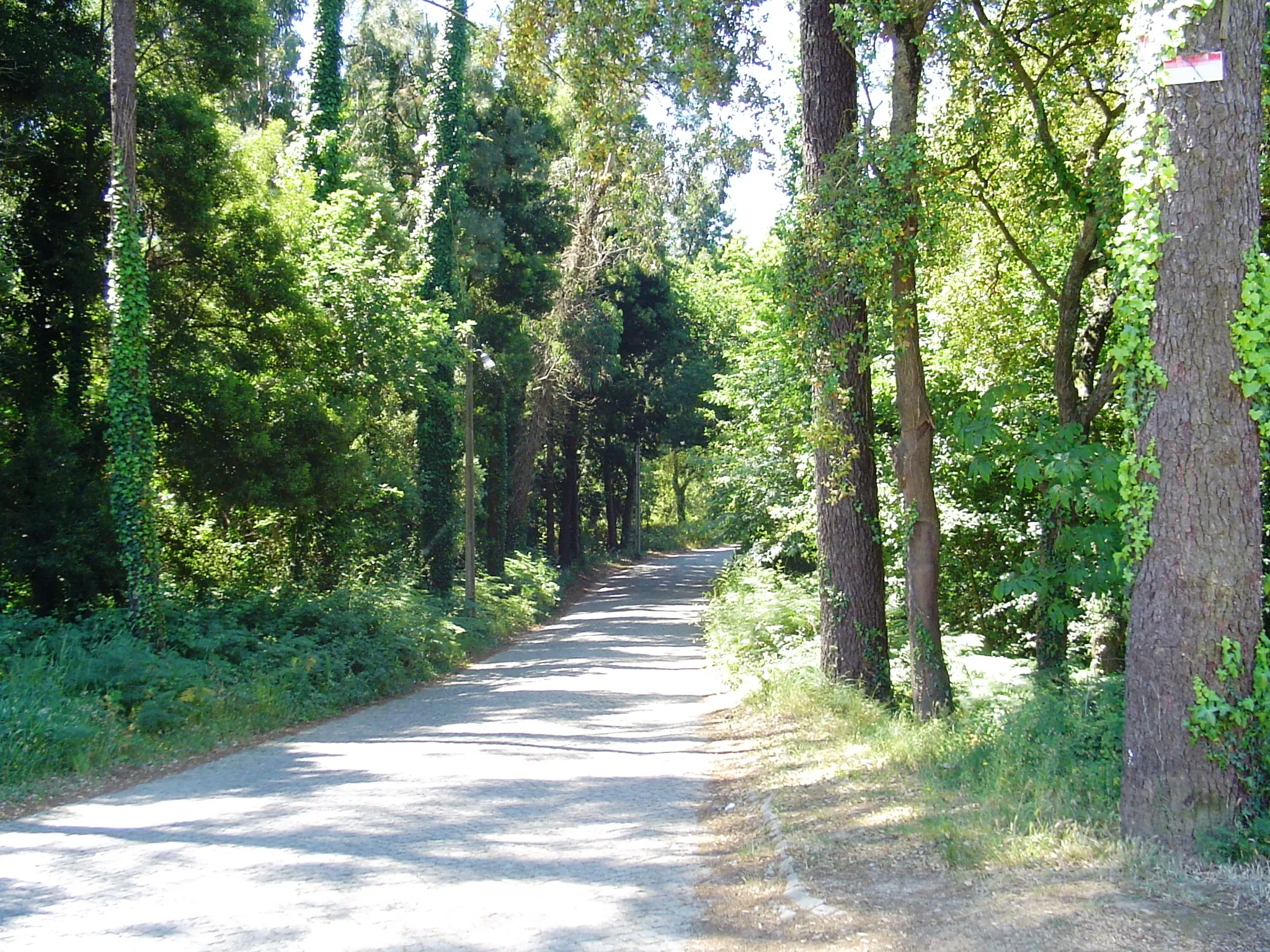 Photo showing: Caminho rural em Olival- Gaia- Portugal