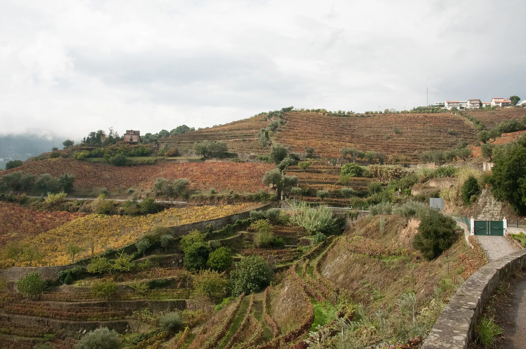 Photo showing: Douro Valley, Portugal