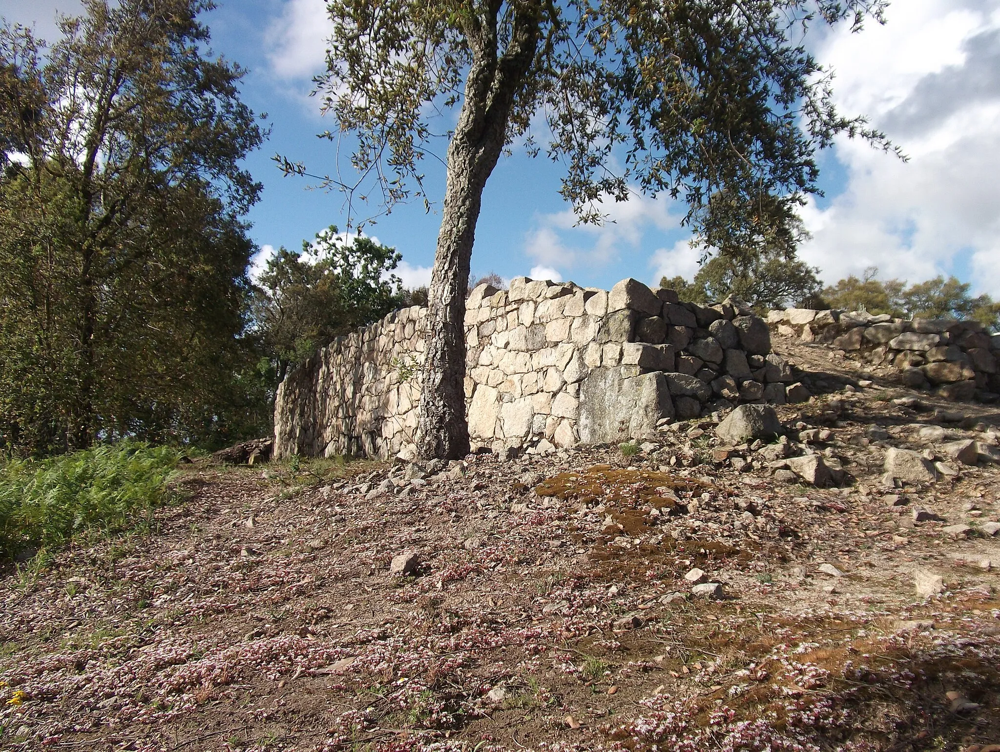 Photo showing: internal structure of the main wall