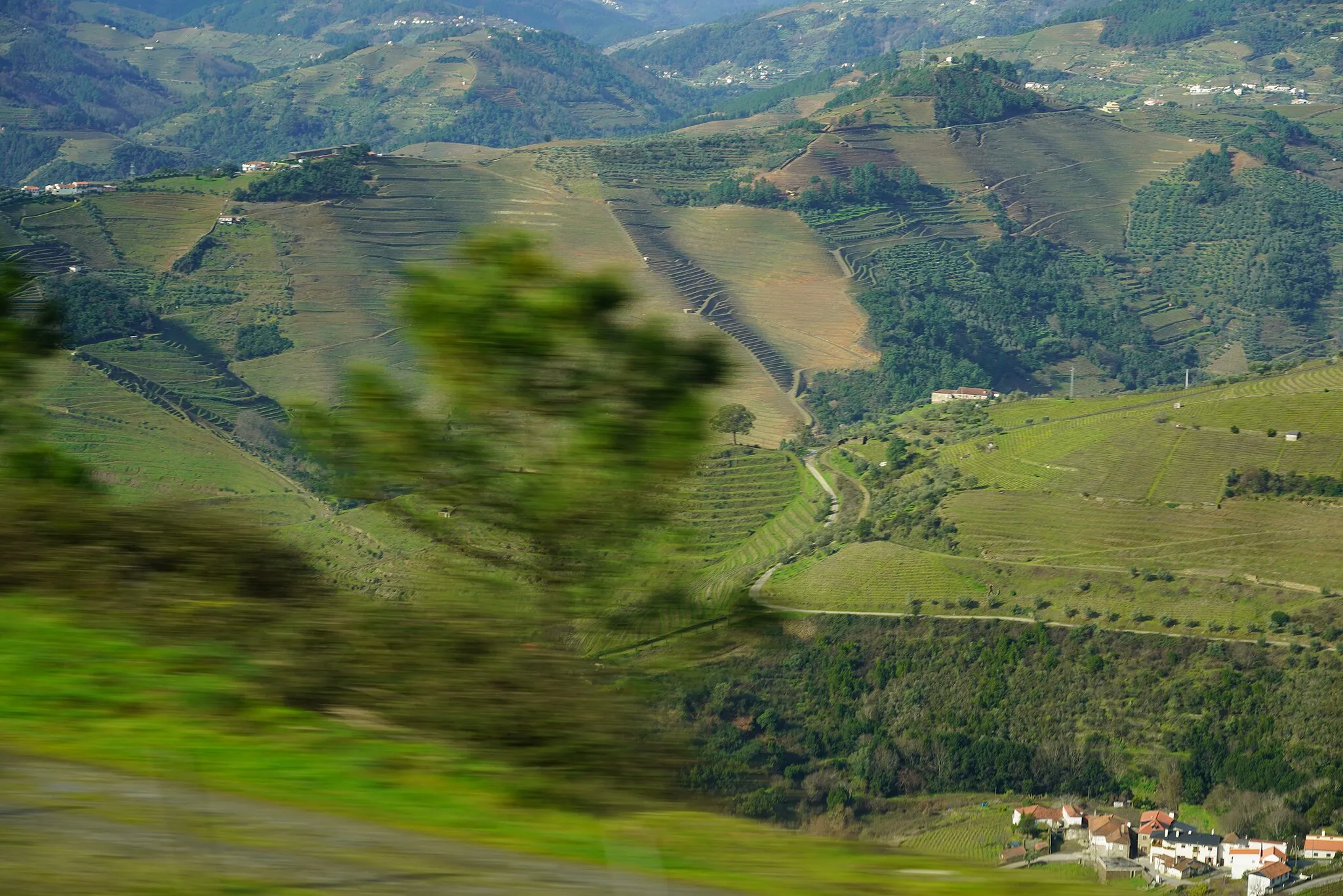 Photo showing: Vale do Río Douro
